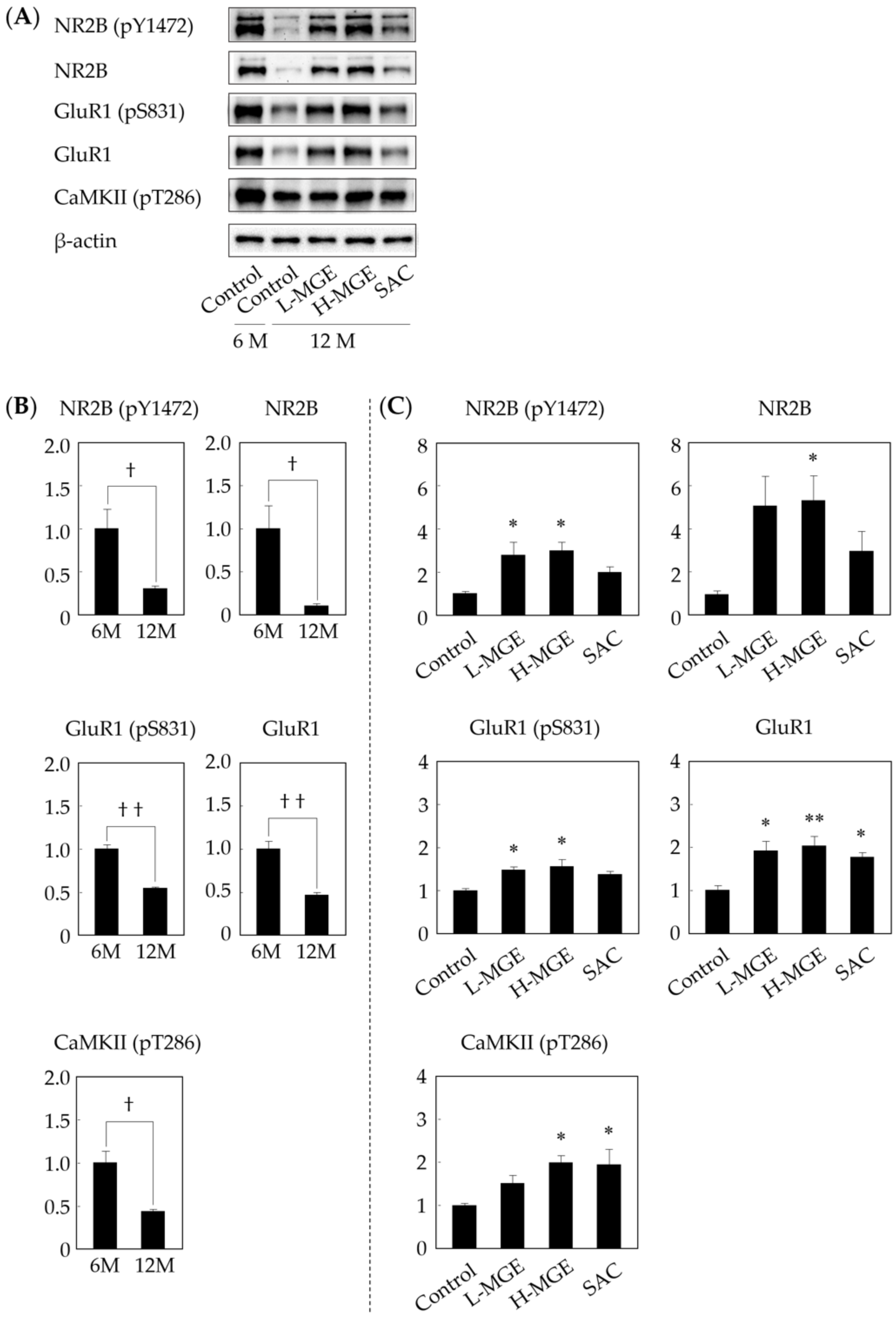 Nutrients 12 01834 g006