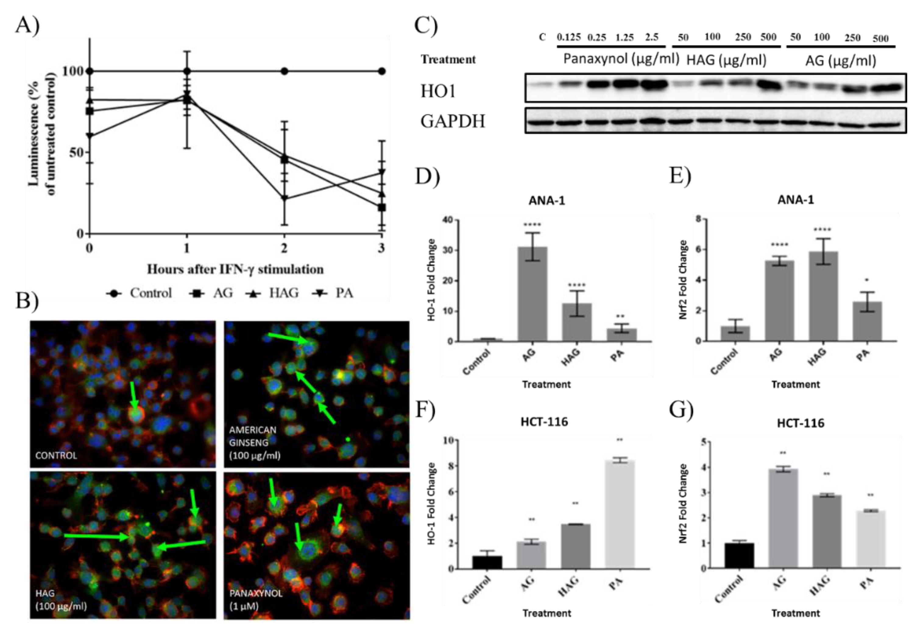 Nutrients 12 01850 g001