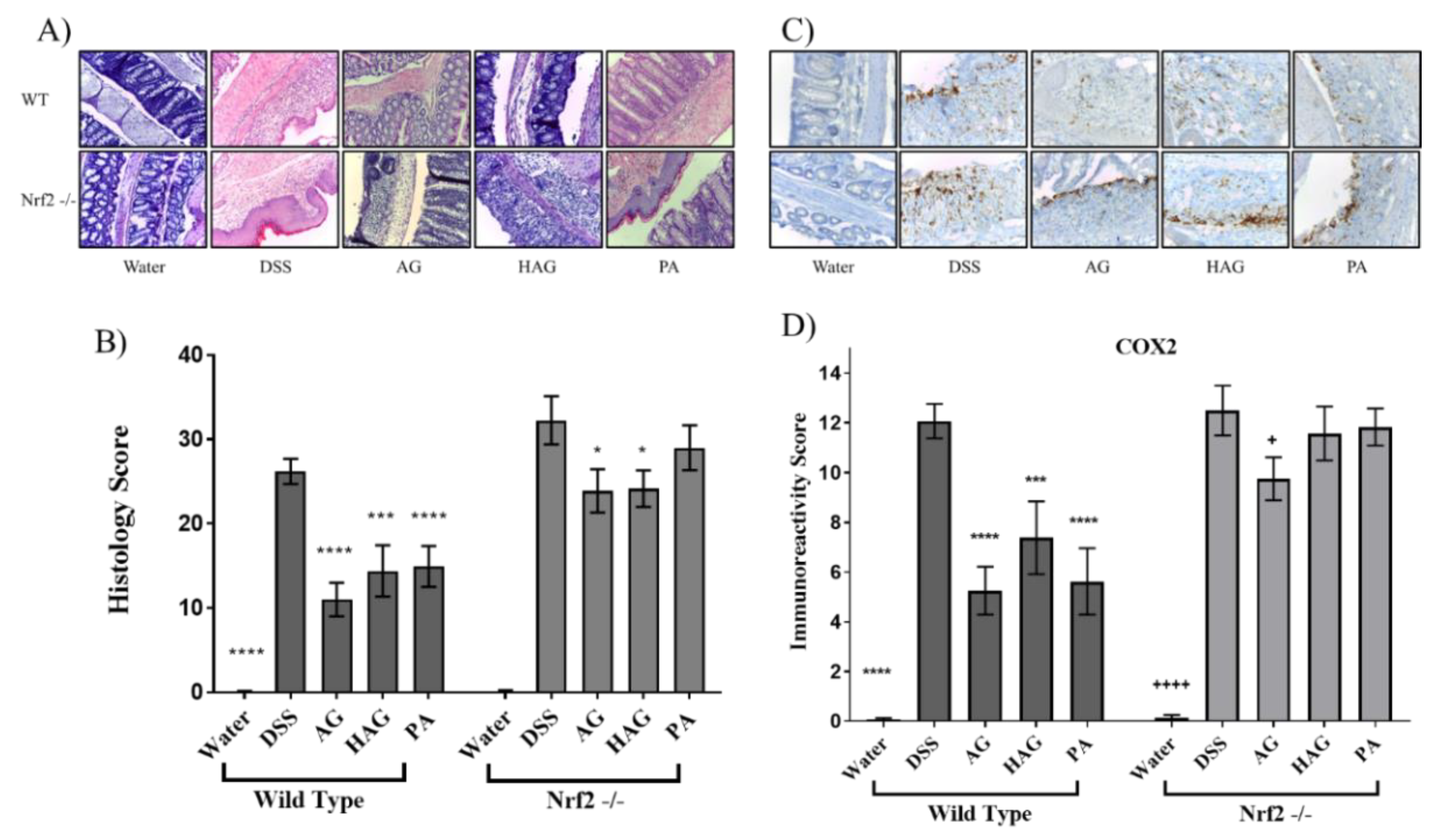 Nutrients 12 01850 g004