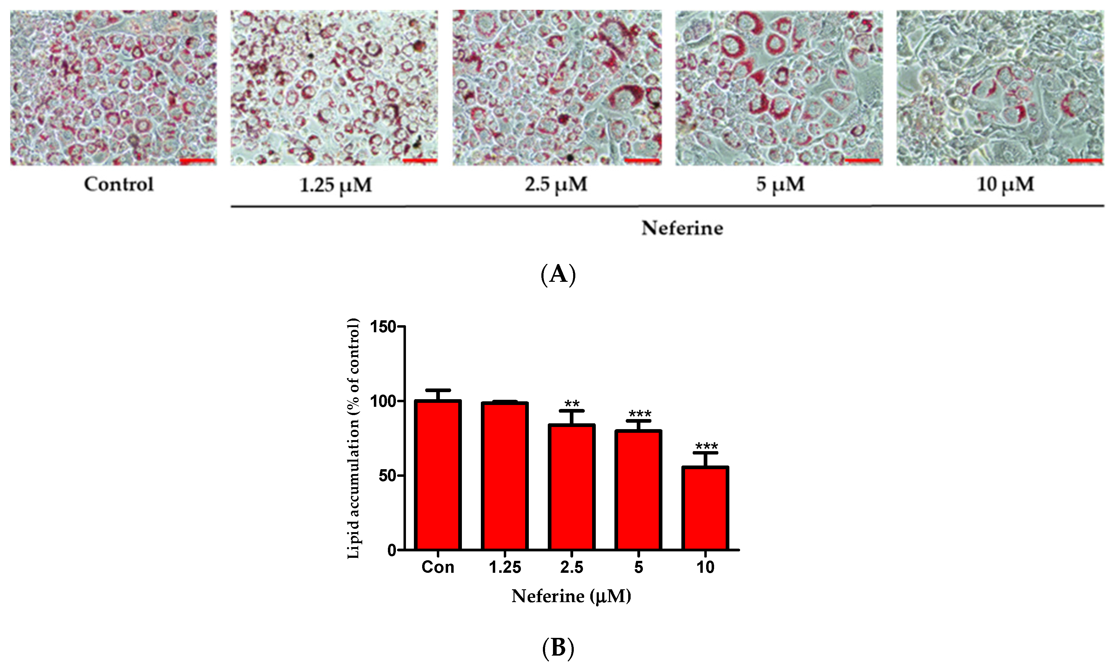 Nutrients 12 01858 g002
