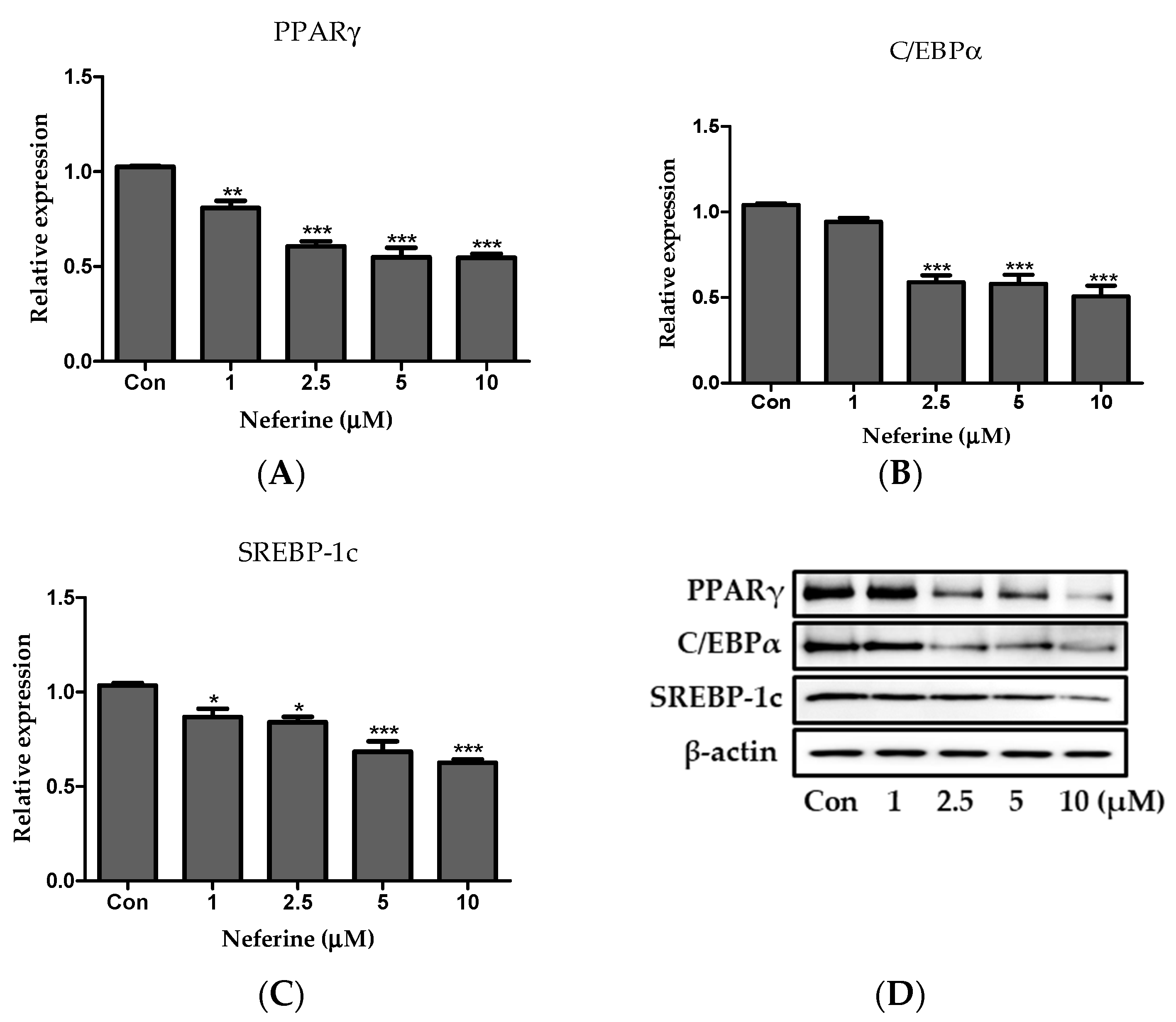 Nutrients 12 01858 g007