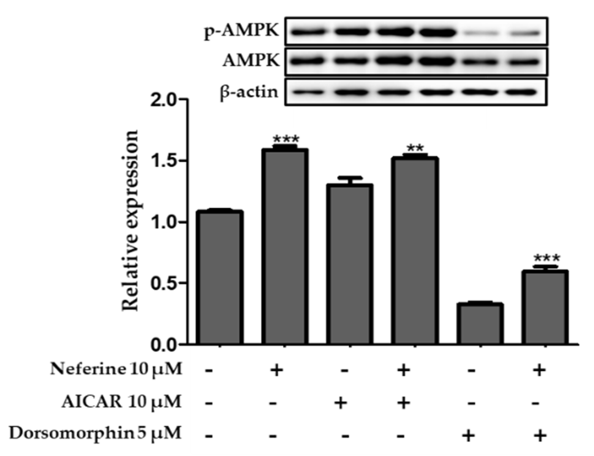 Nutrients 12 01858 g009