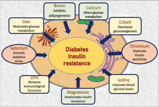 A cukorbetegség típusai: kockázatok, jellemzők és kezelés