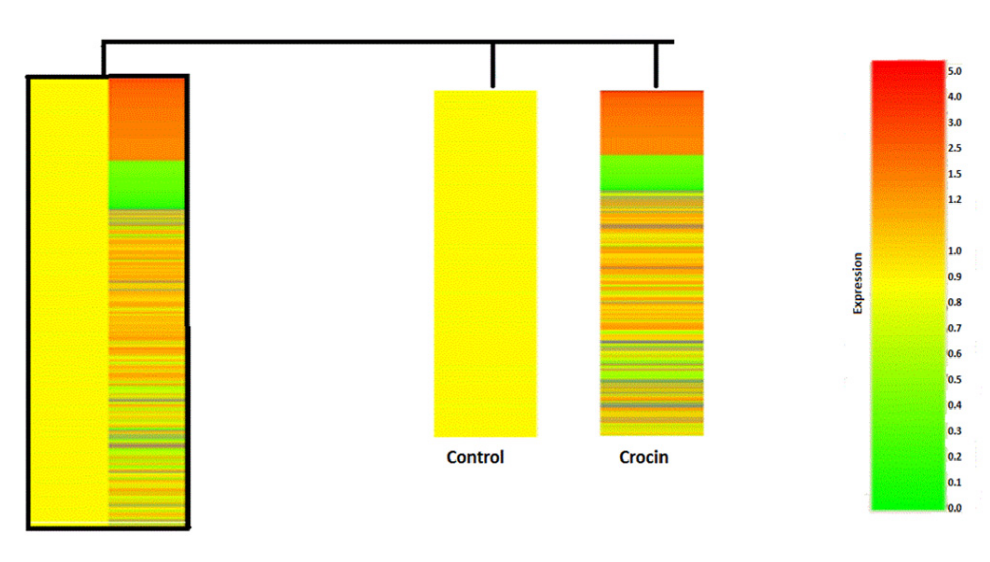 Nutrients 12 01901 g005 Nutrients 12 01901 g005