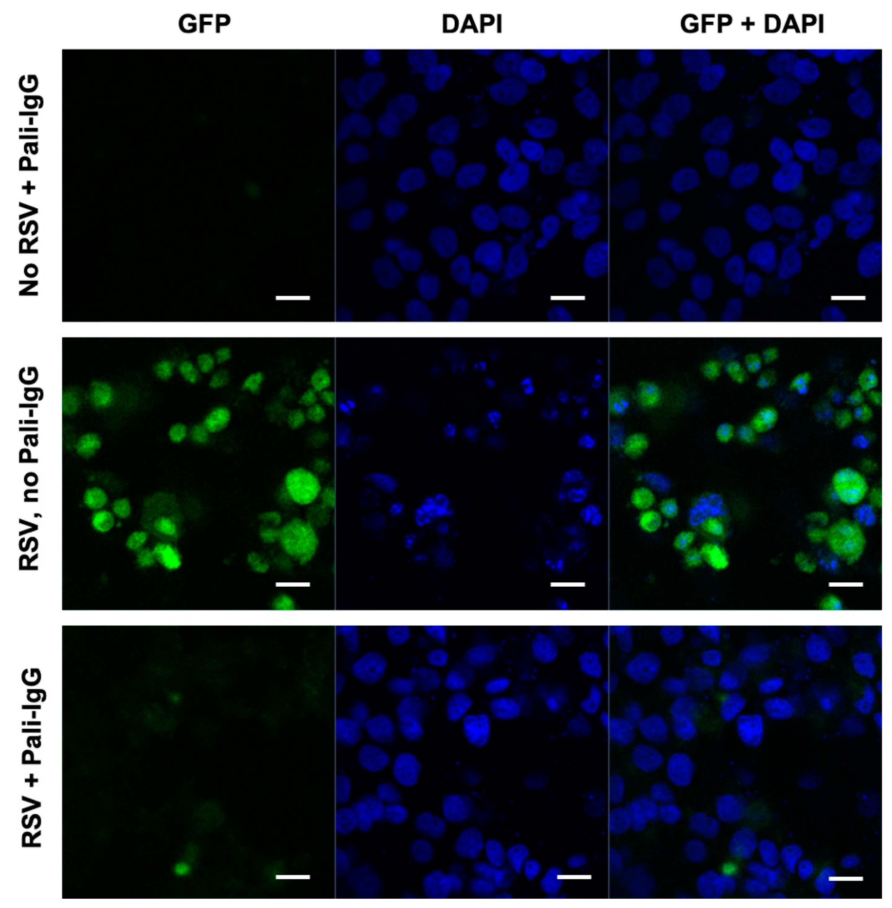 Nutrients 12 01904 g005