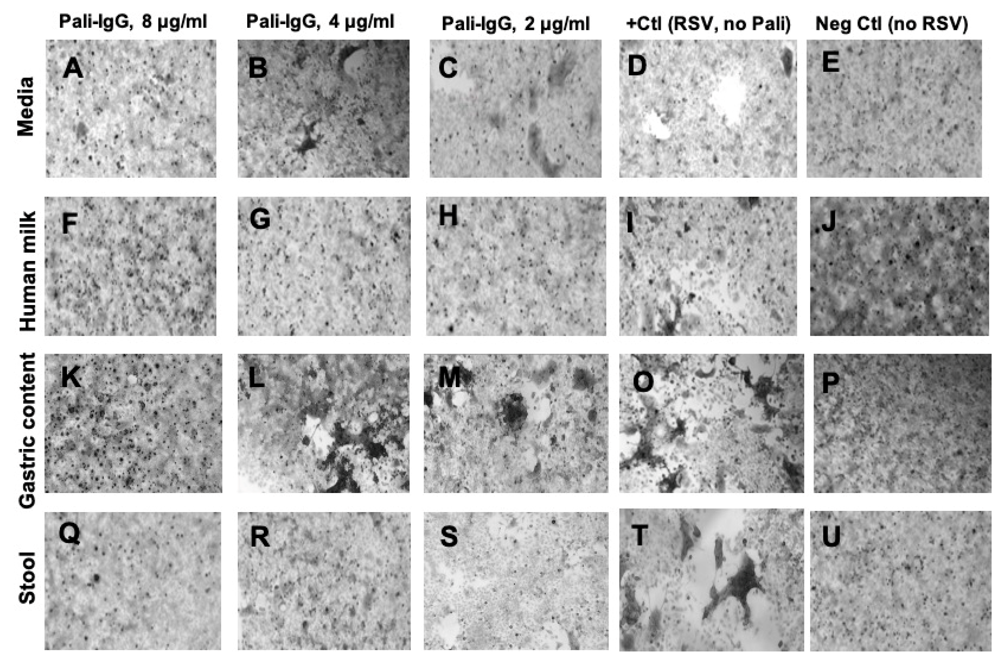 Nutrients 12 01904 g006