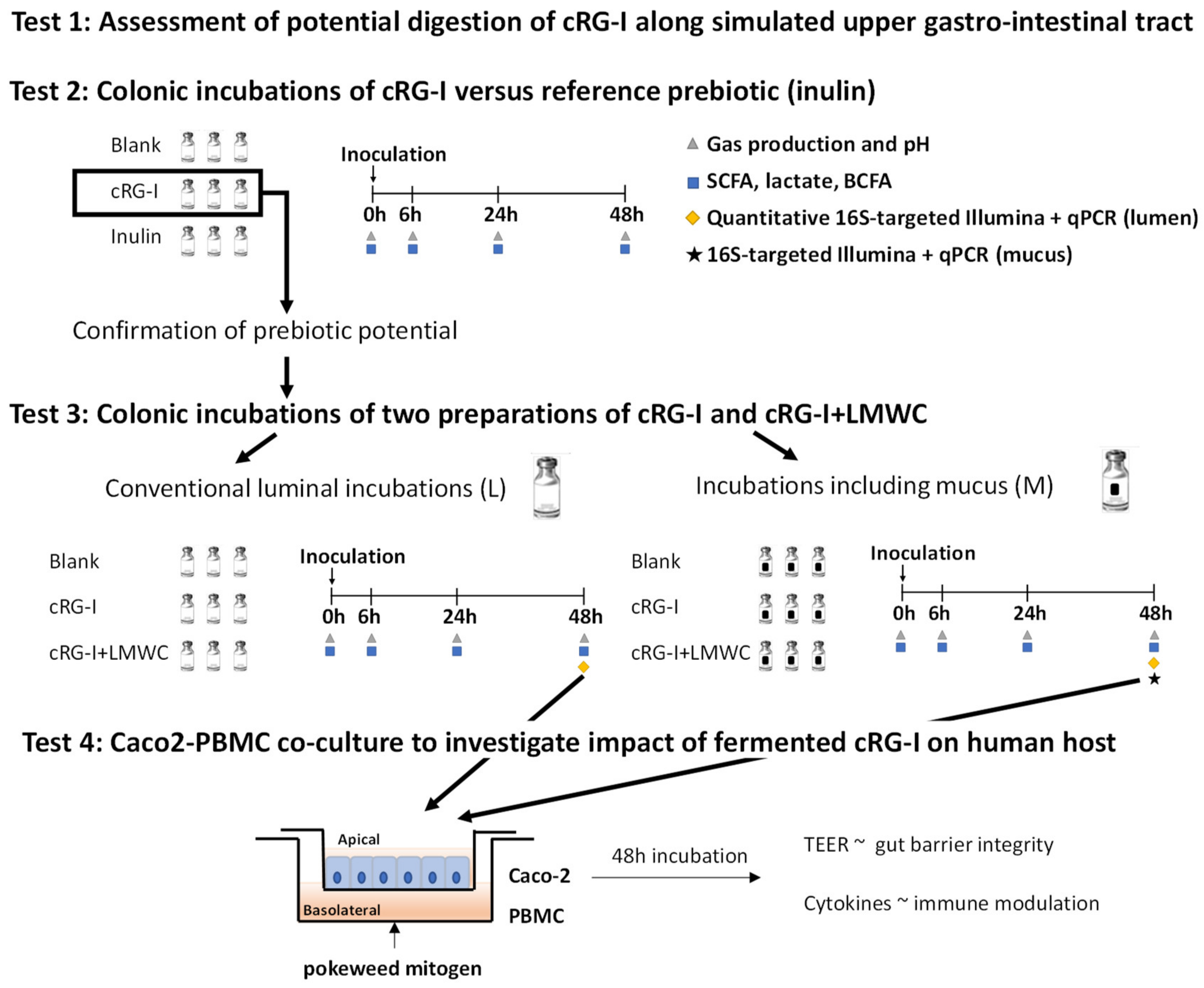 Nutrients 12 01917 g001
