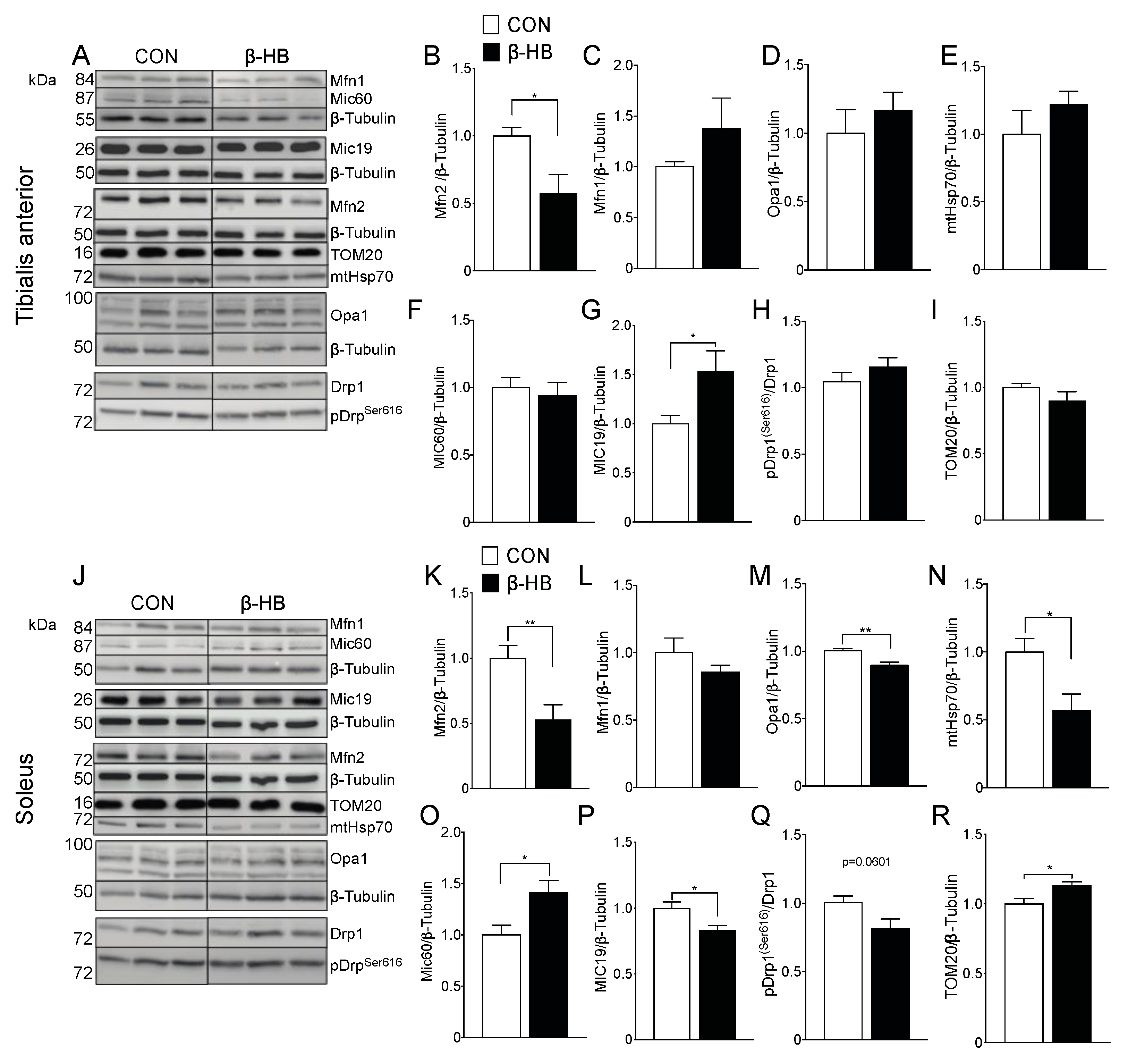 Nutrients 12 01930 g005