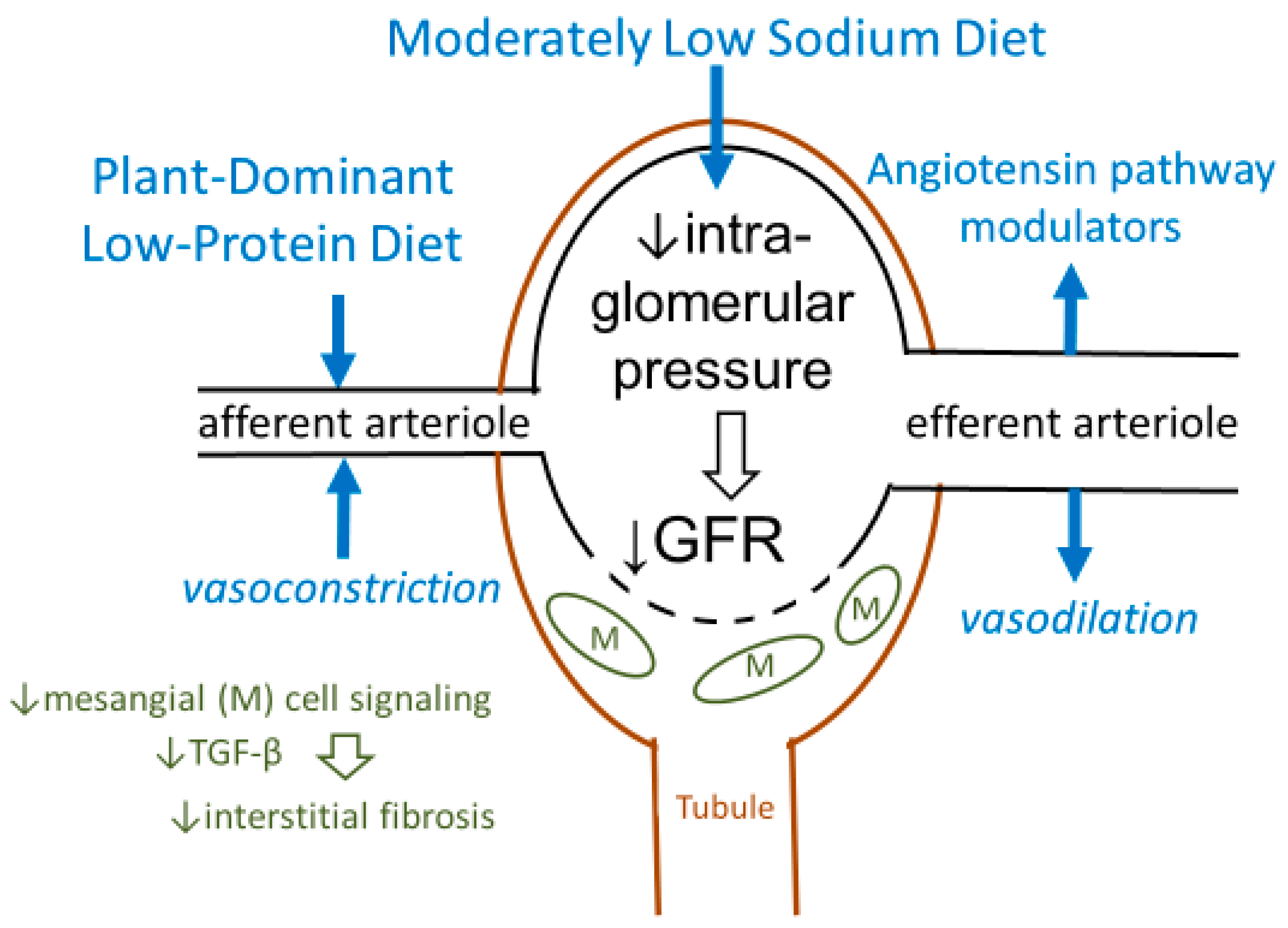 Nutrients 12 01931 g001 Nutrients 12 01931 g001