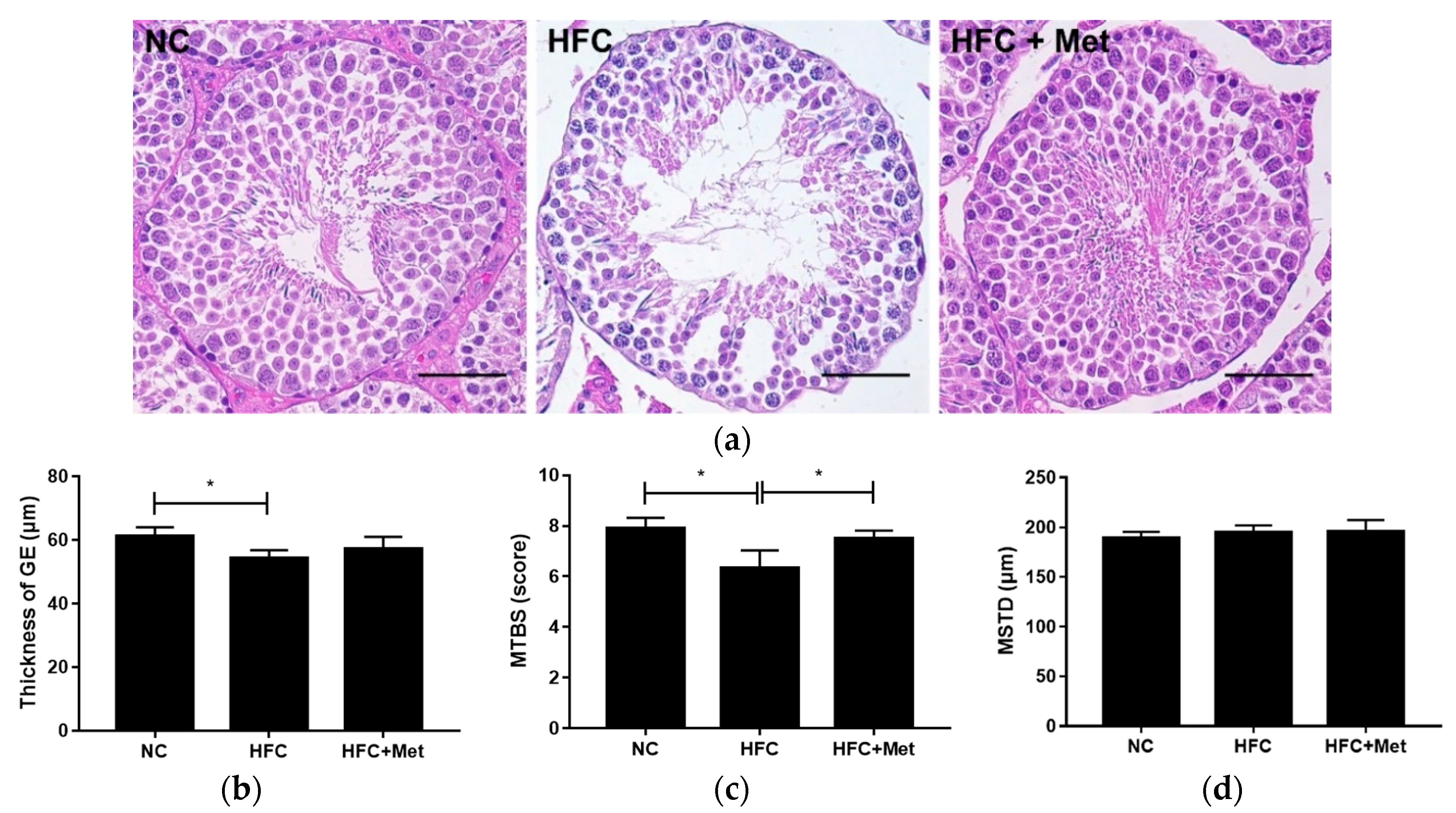 Nutrients 12 01932 g004 Nutrients 12 01932 g004