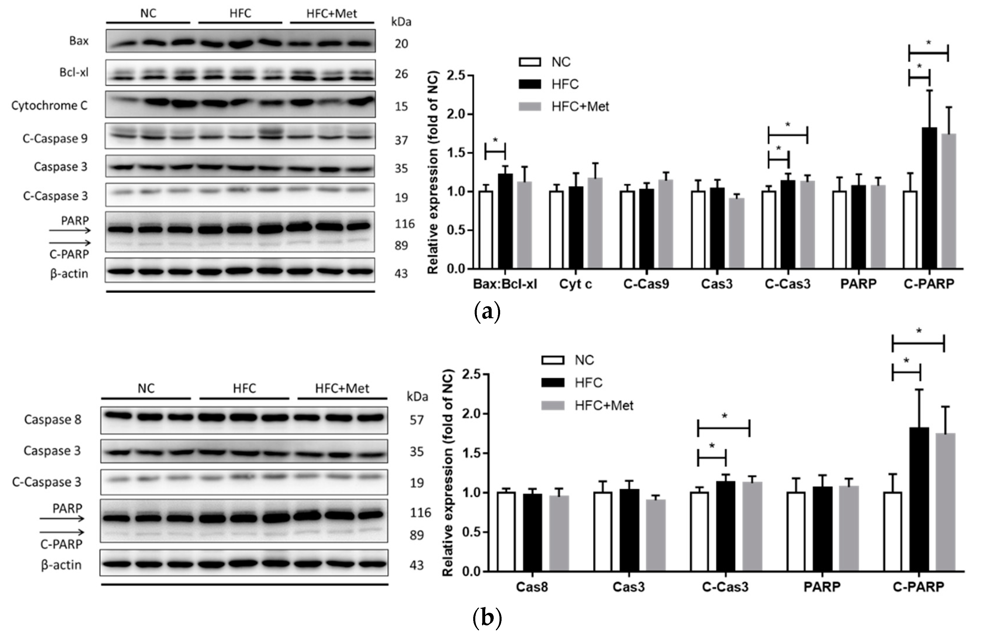 Nutrients 12 01932 g008 Nutrients 12 01932 g008