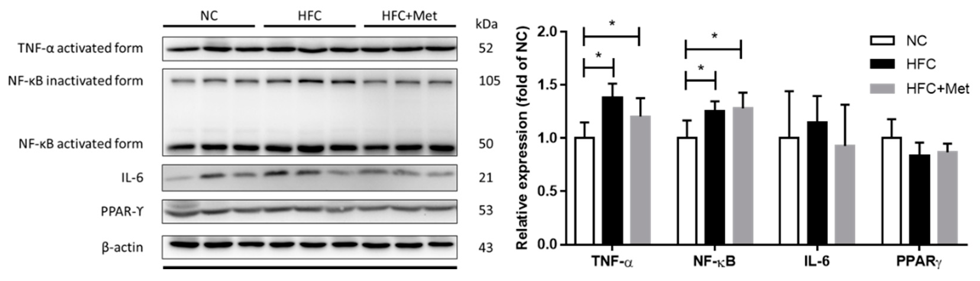 Nutrients 12 01932 g009 Nutrients 12 01932 g009