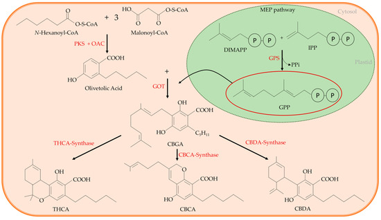 Nutrients 12 01935 g002 550