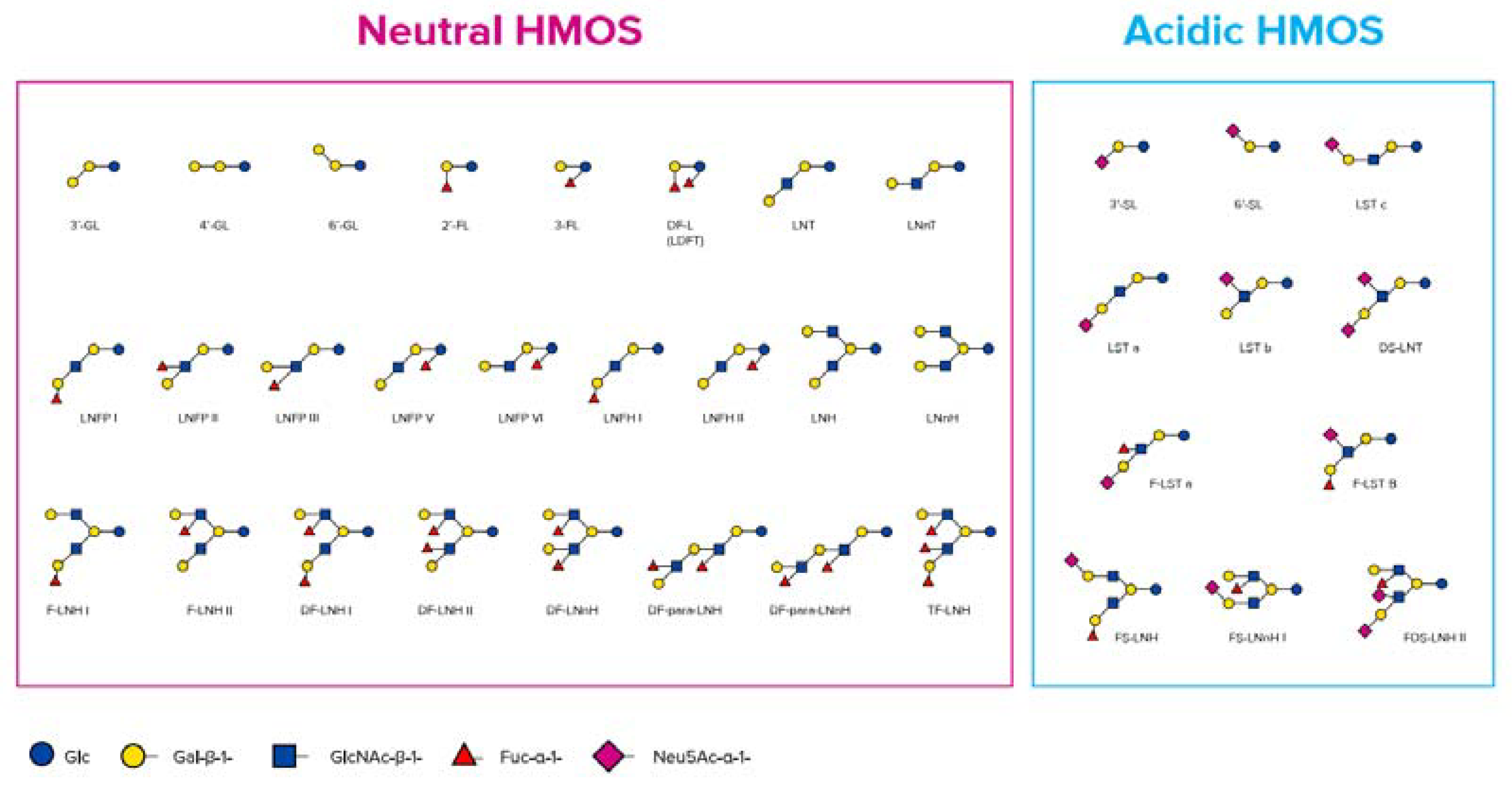 Nutrients 12 01952 g001 Nutrients 12 01952 g001