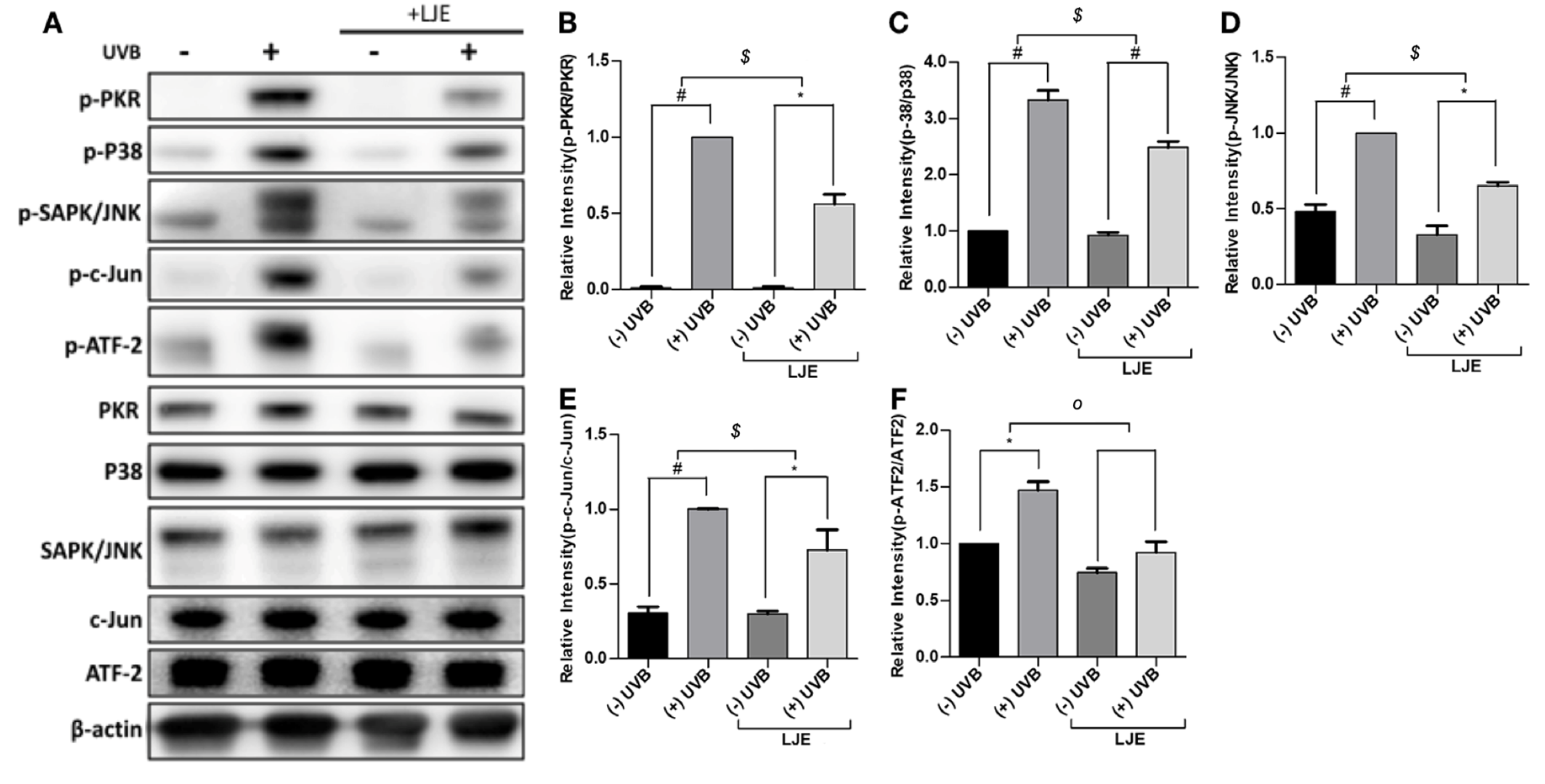 Nutrients 12 01958 g004 Nutrients 12 01958 g004