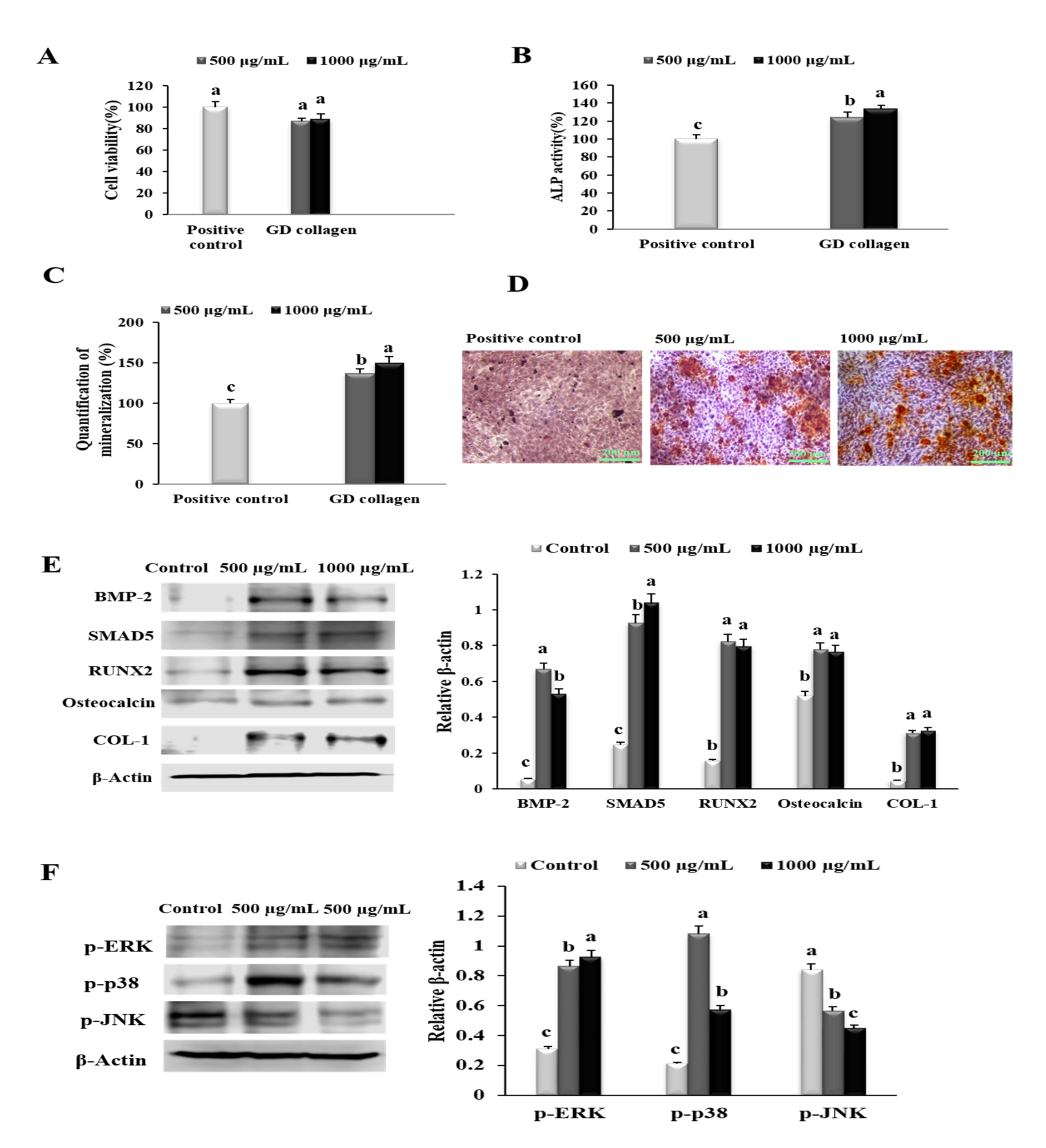 Nutrients 12 01967 g002 Nutrients 12 01967 g002