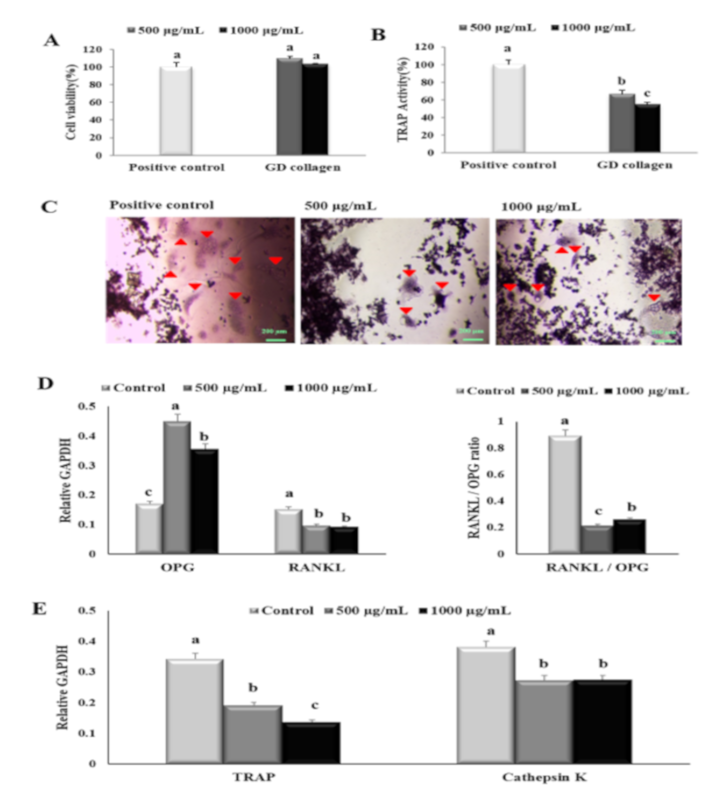 Nutrients 12 01967 g003 Nutrients 12 01967 g003