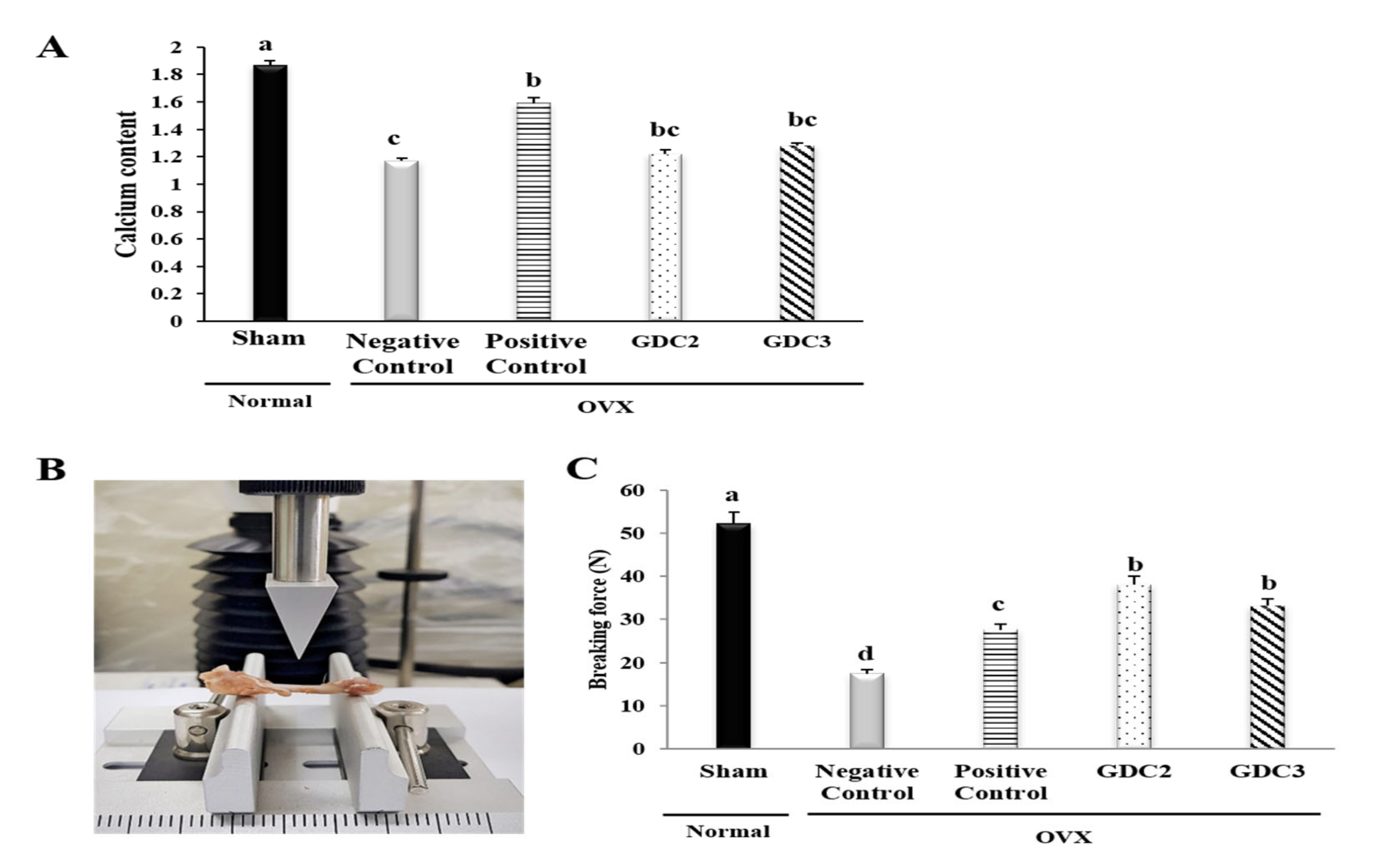 Nutrients 12 01967 g004 Nutrients 12 01967 g004