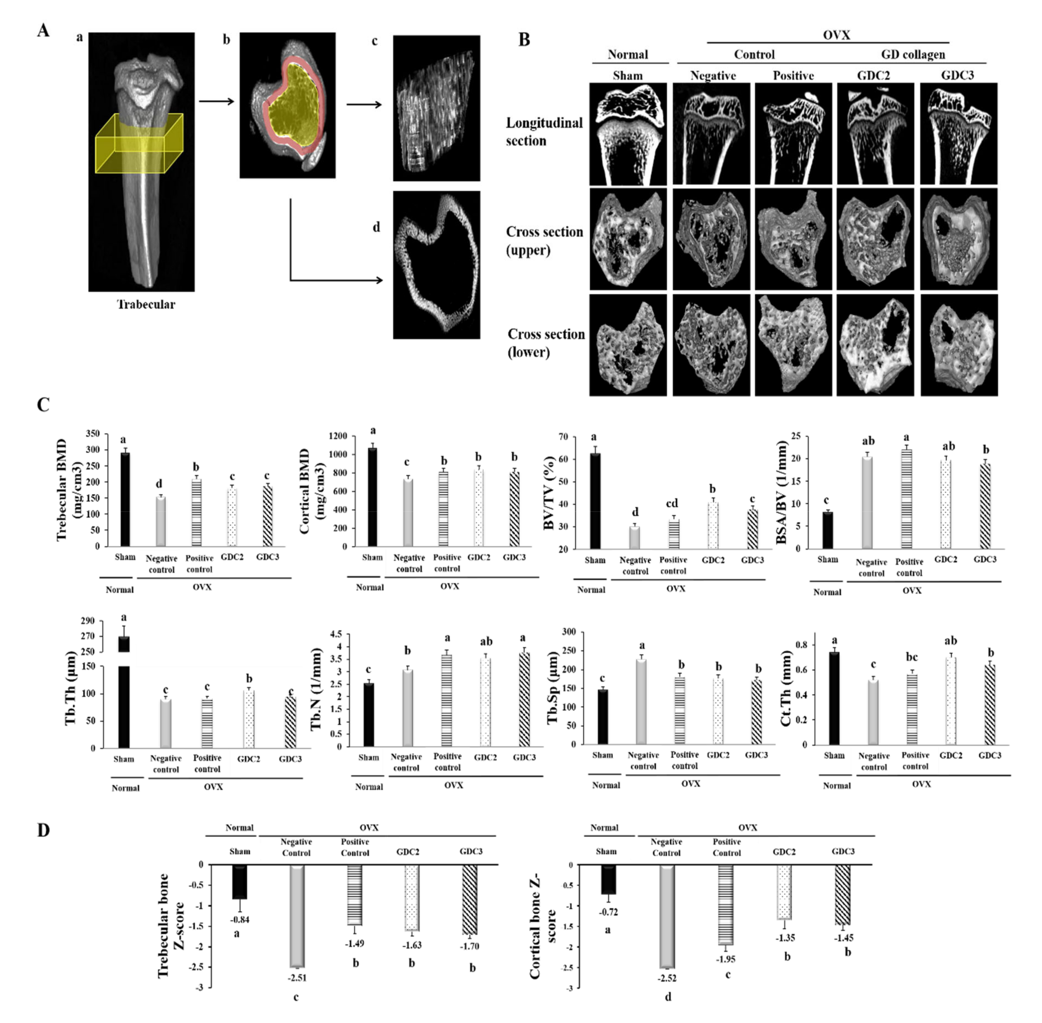 Nutrients 12 01967 g005 Nutrients 12 01967 g005