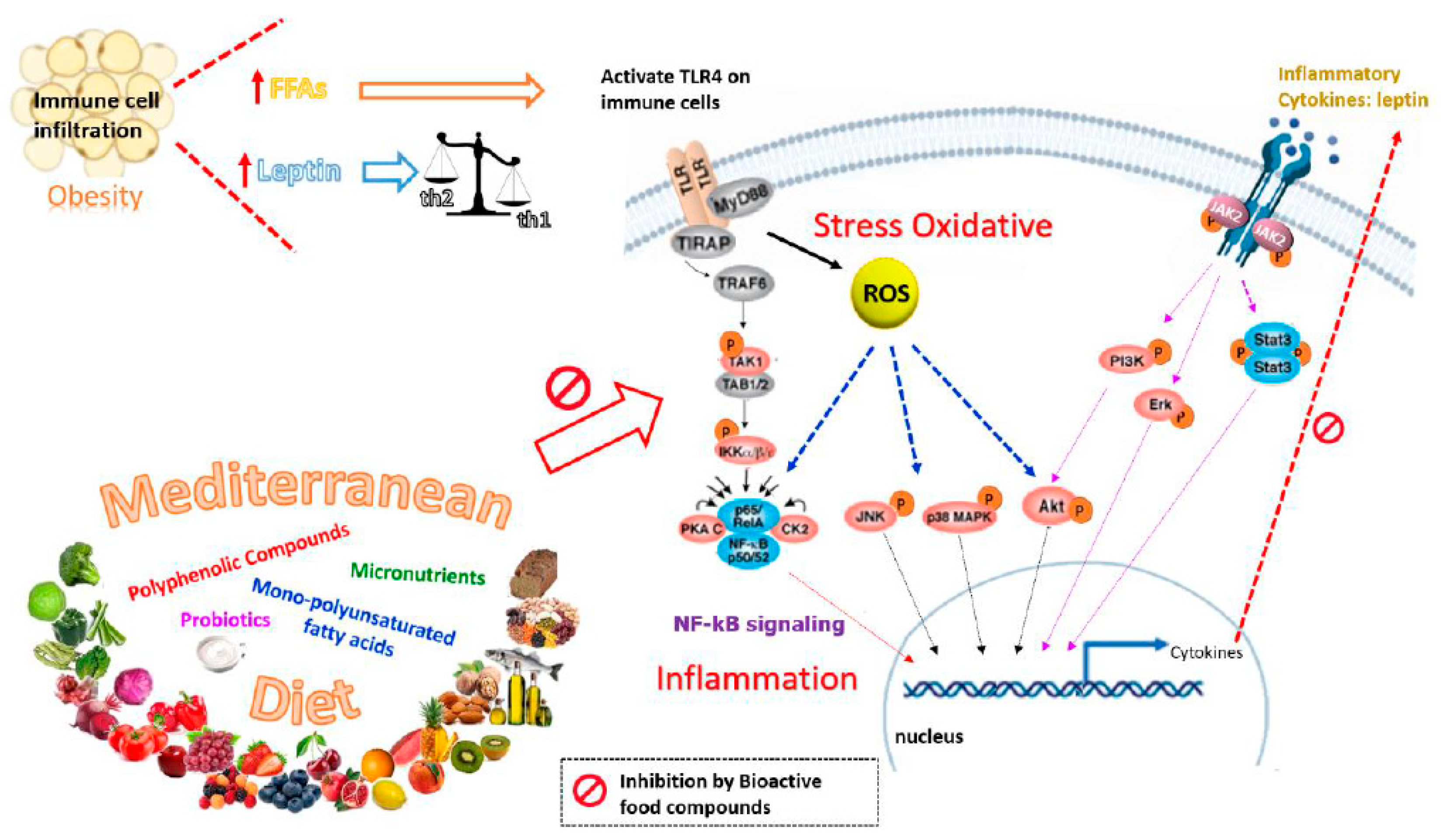 nutrients free full text leptin and nutrition in gestational diabetes html