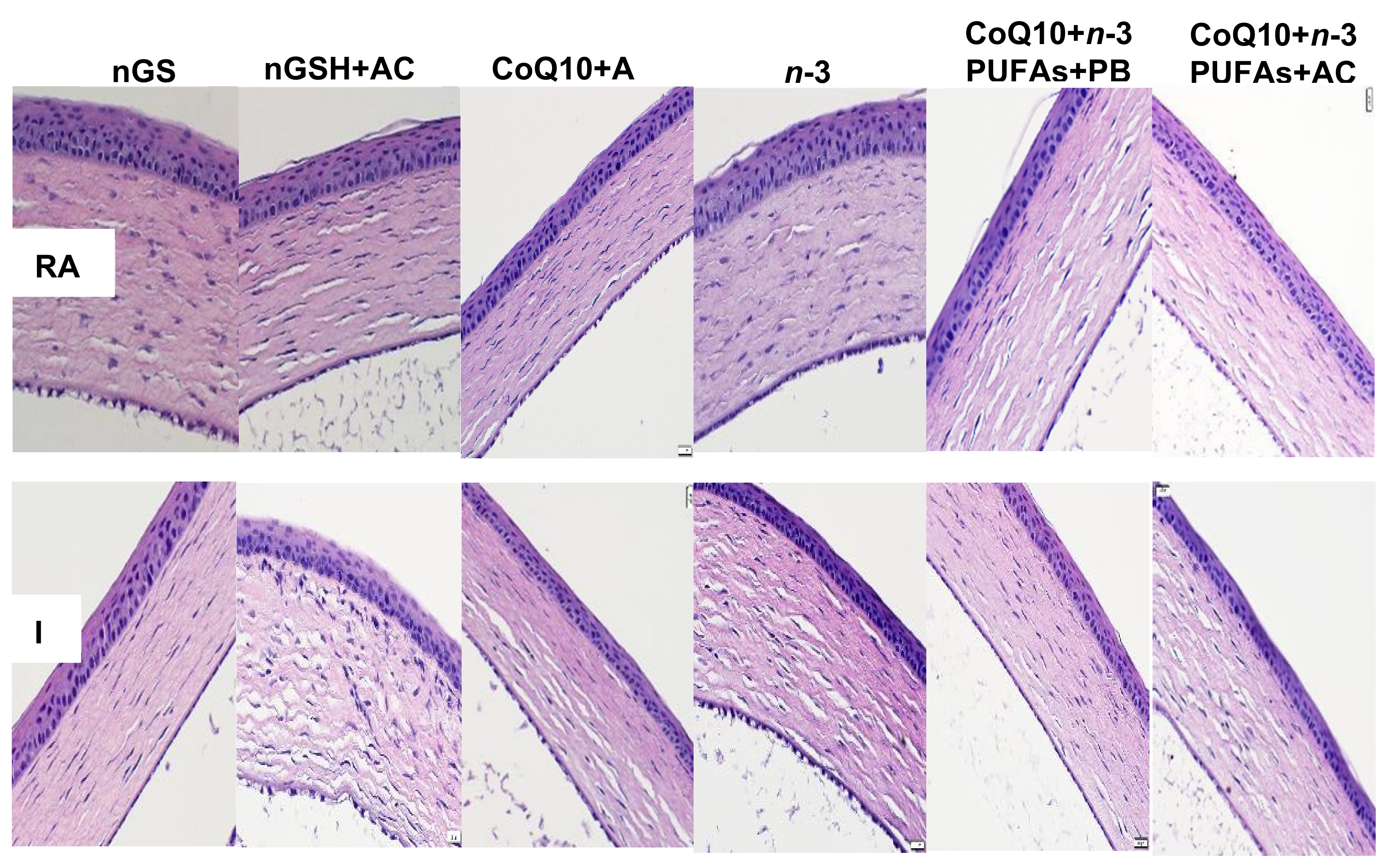 Nutrients 12 01980 g006
