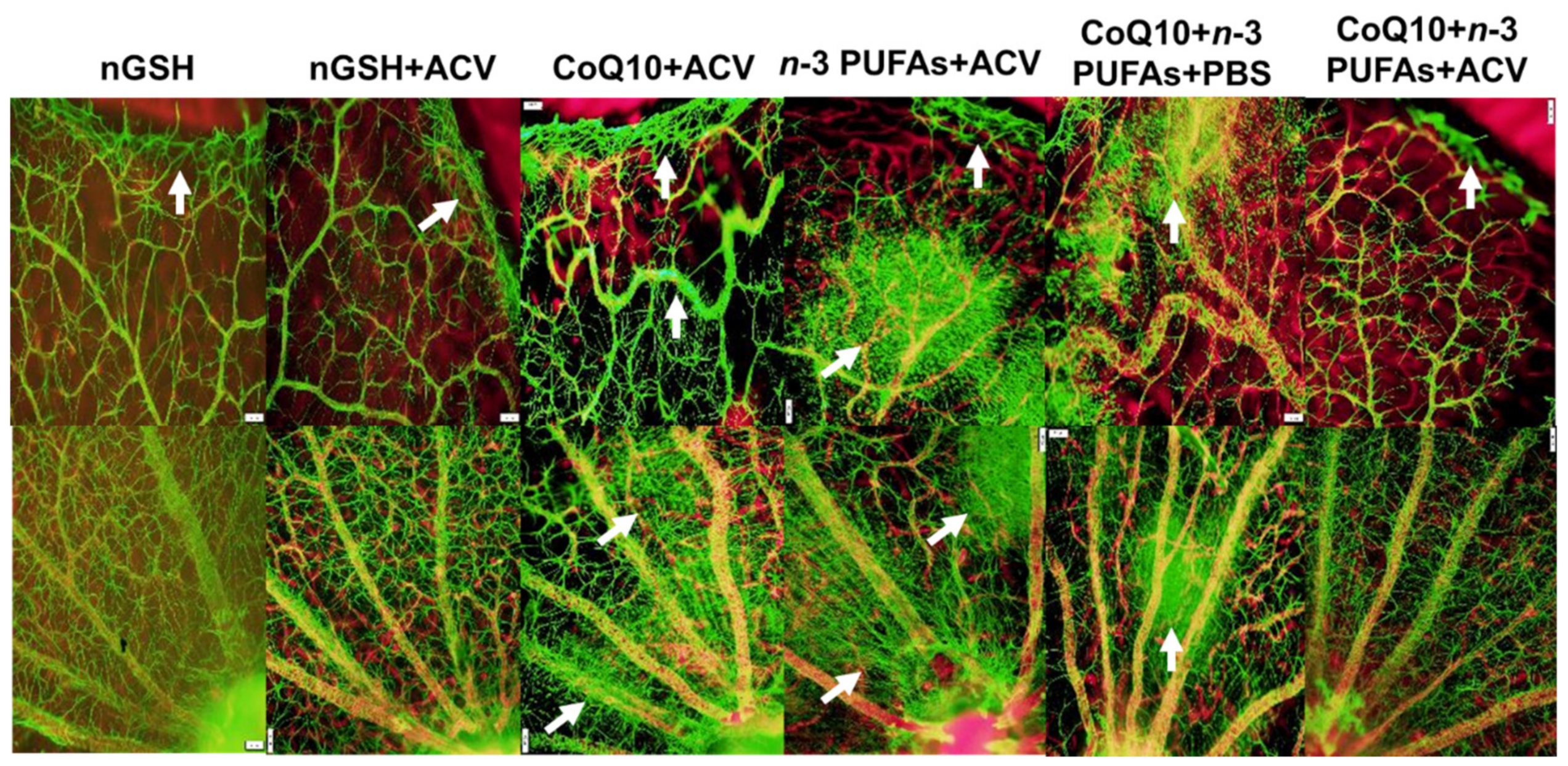 Nutrients 12 01980 g010
