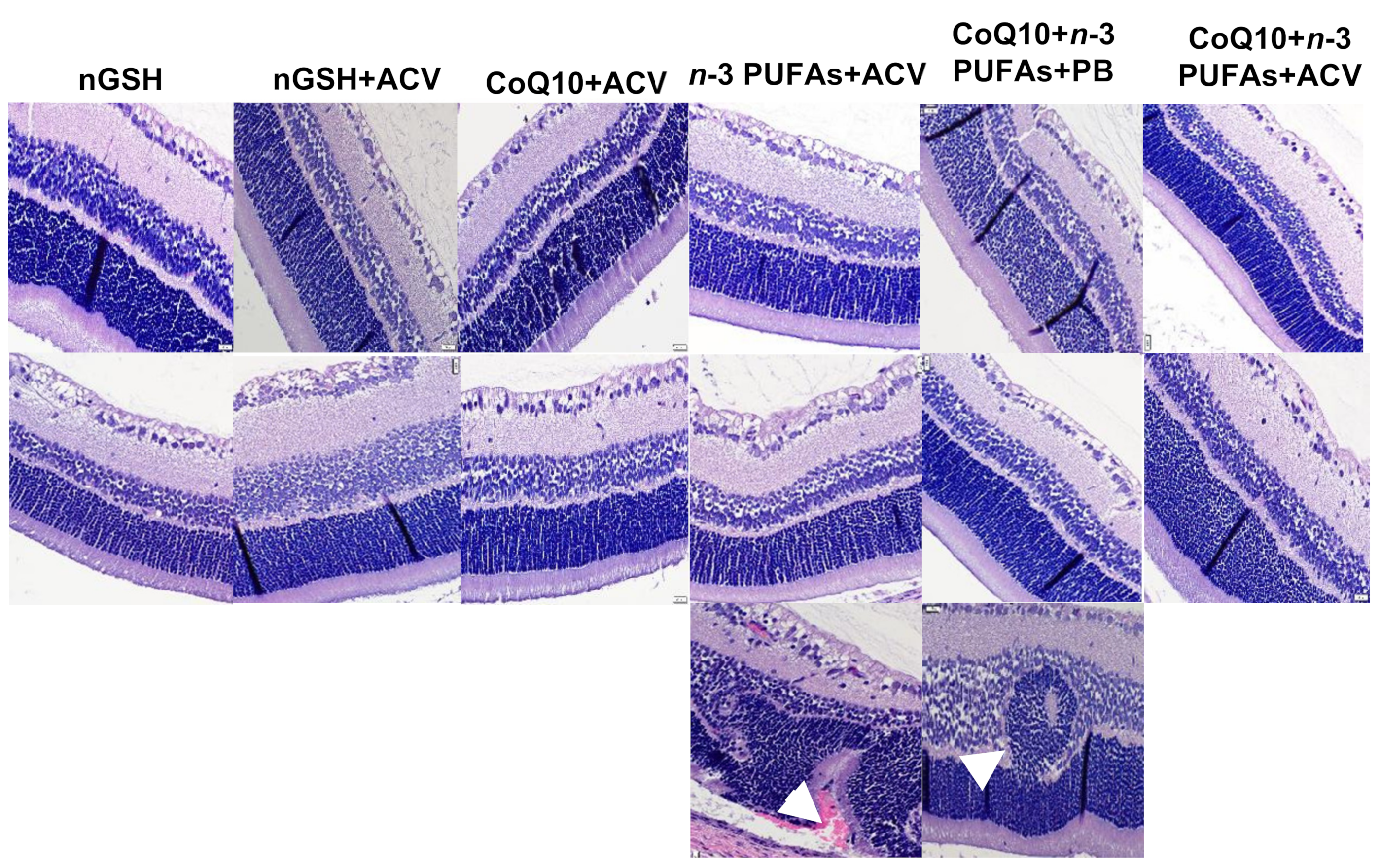 Nutrients 12 01980 g011
