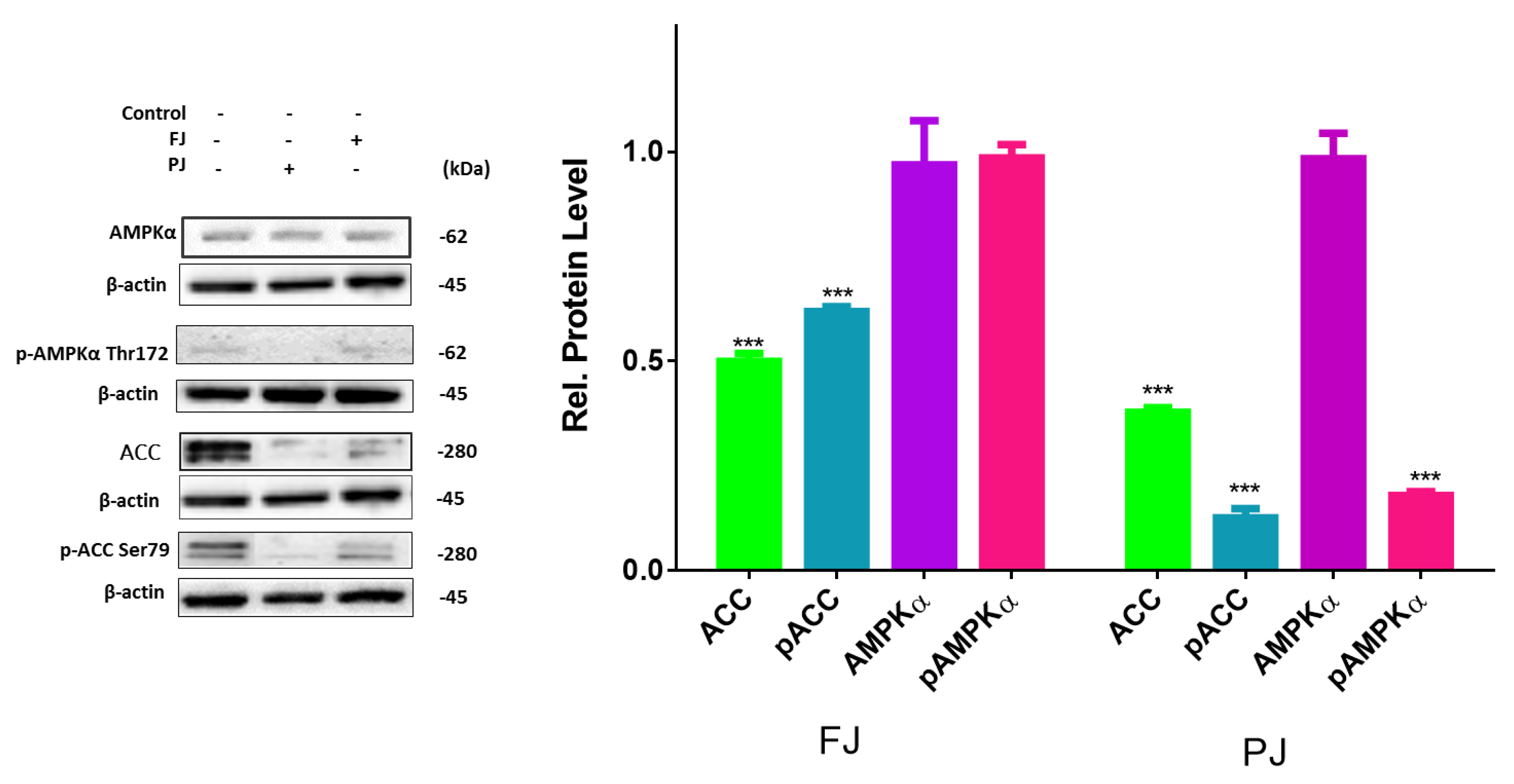 Nutrients 12 02003 g009