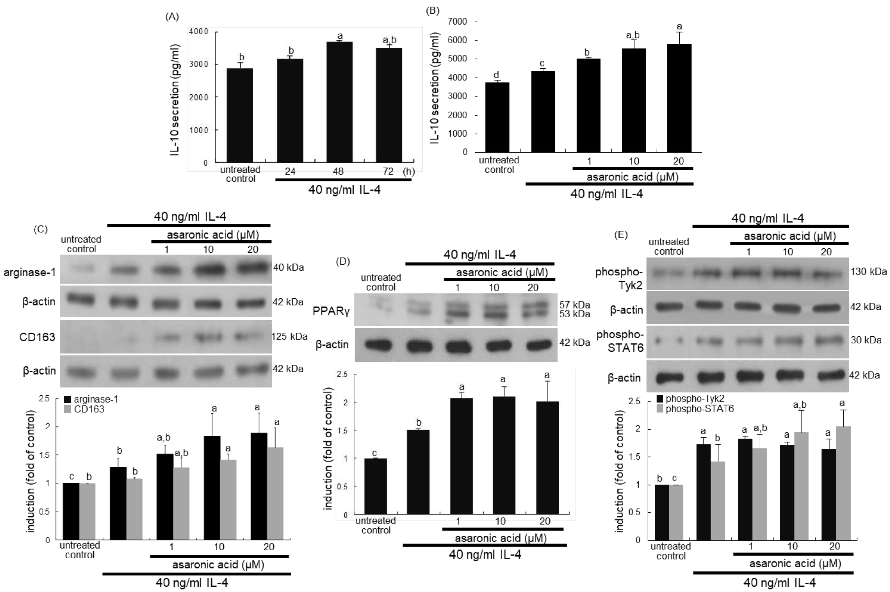 Nutrients 12 02006 g002