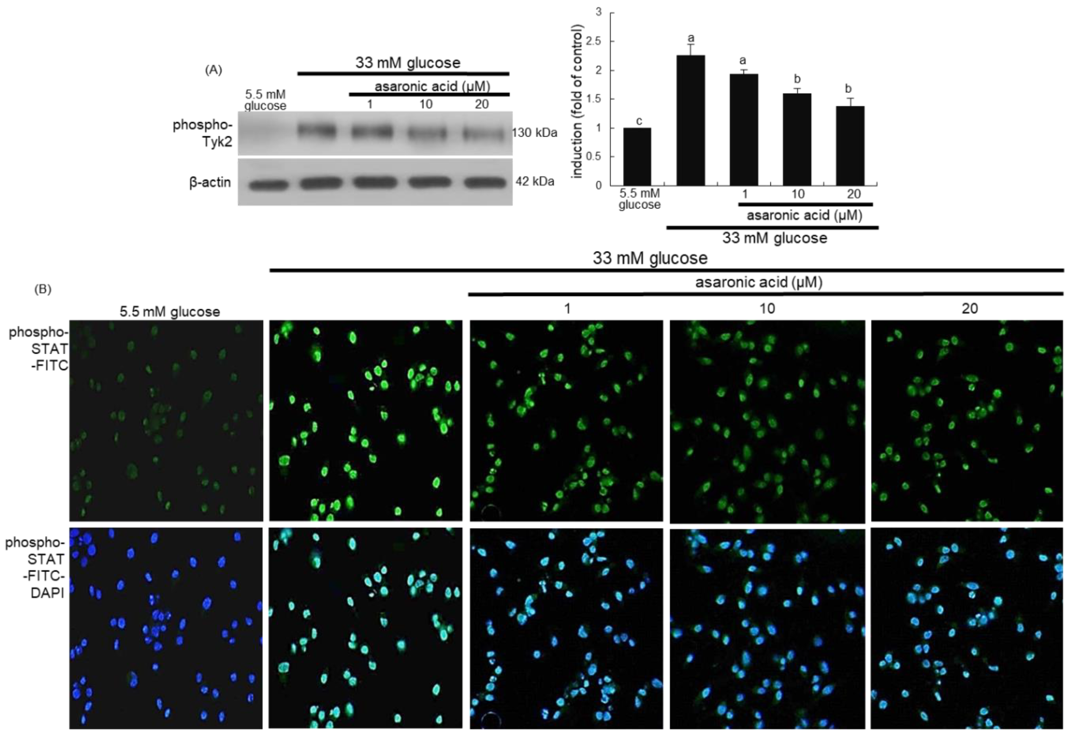 Nutrients 12 02006 g006