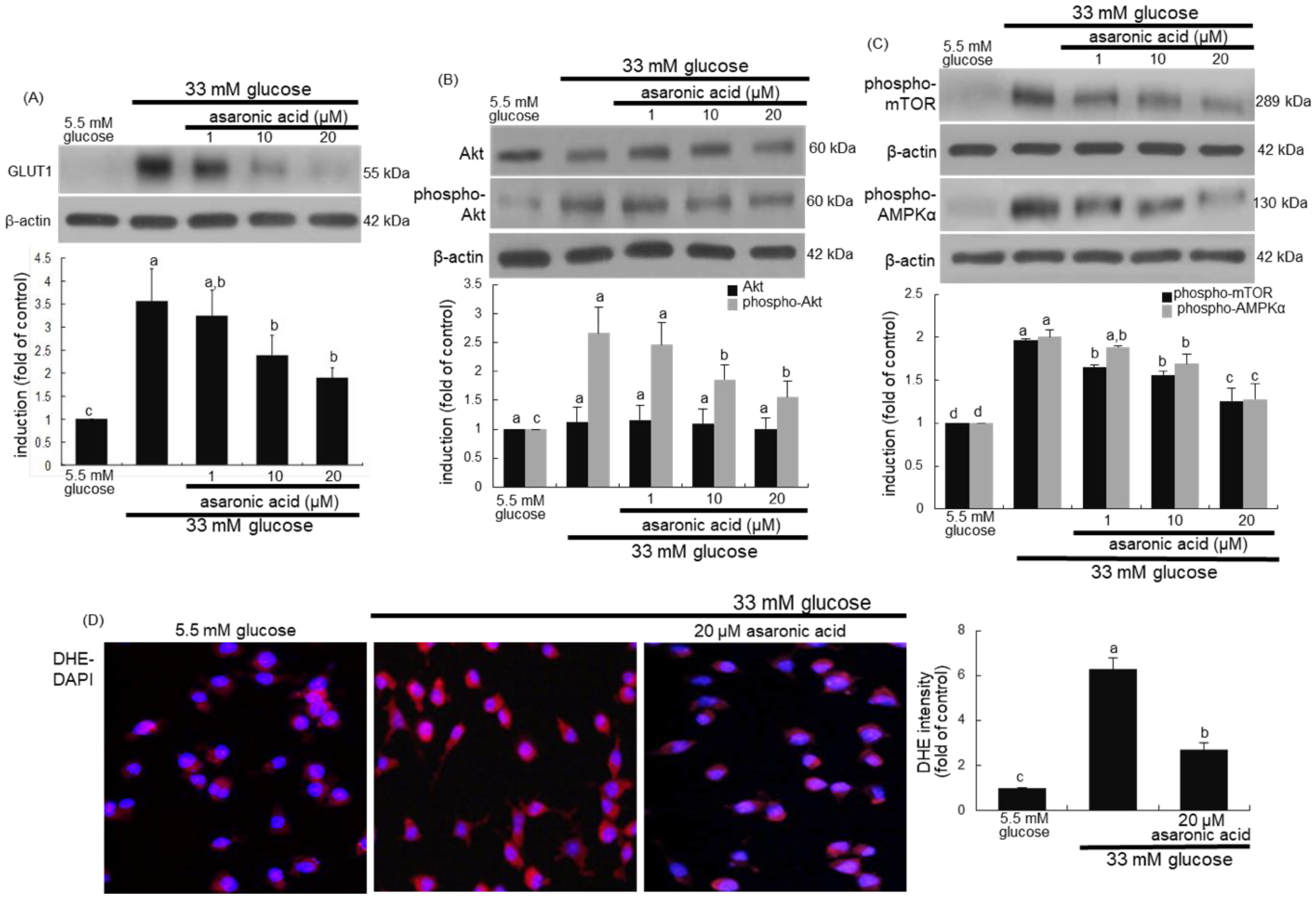 Nutrients 12 02006 g007