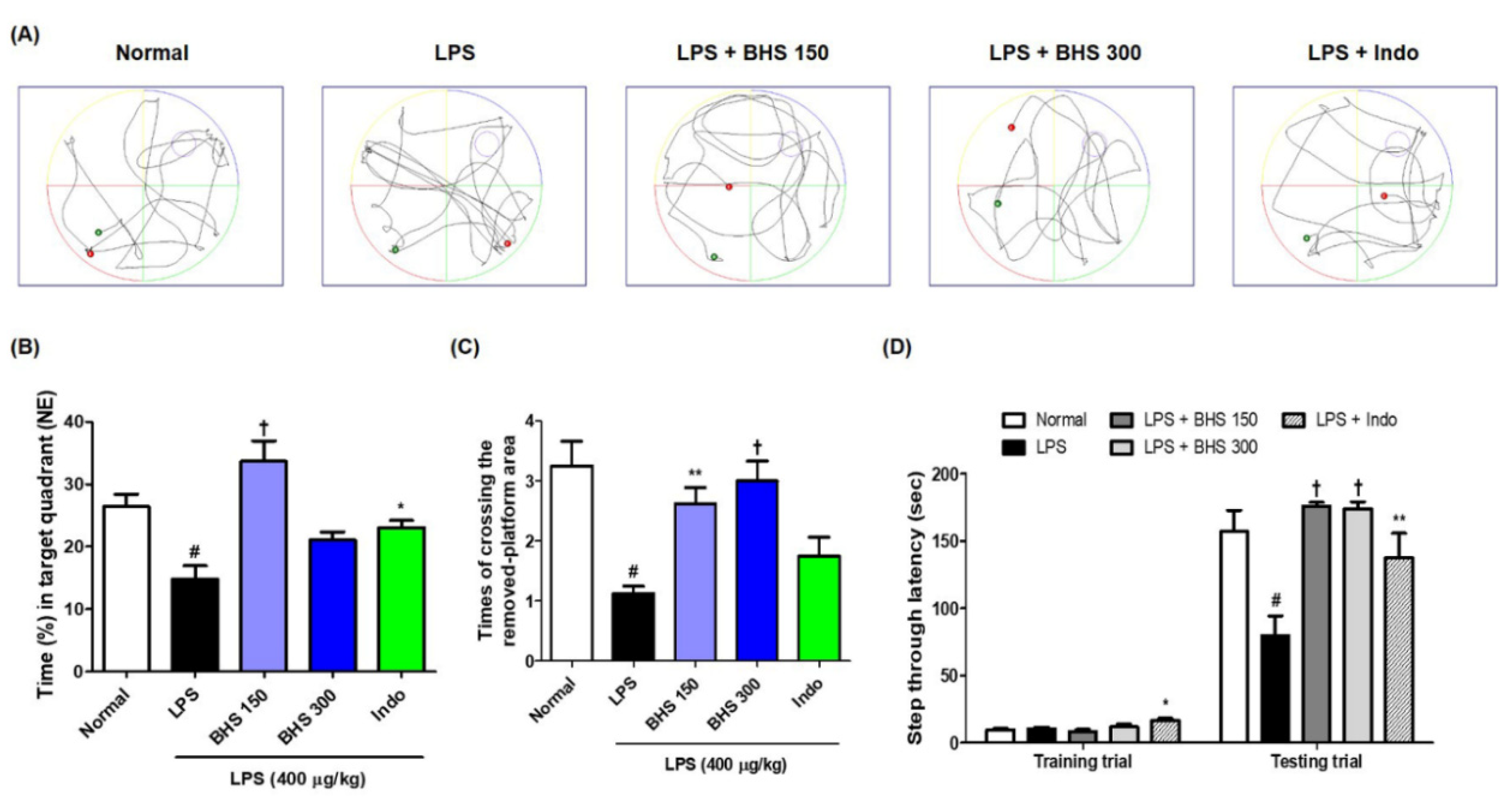 Nutrients 12 02019 g003 Nutrients 12 02019 g003