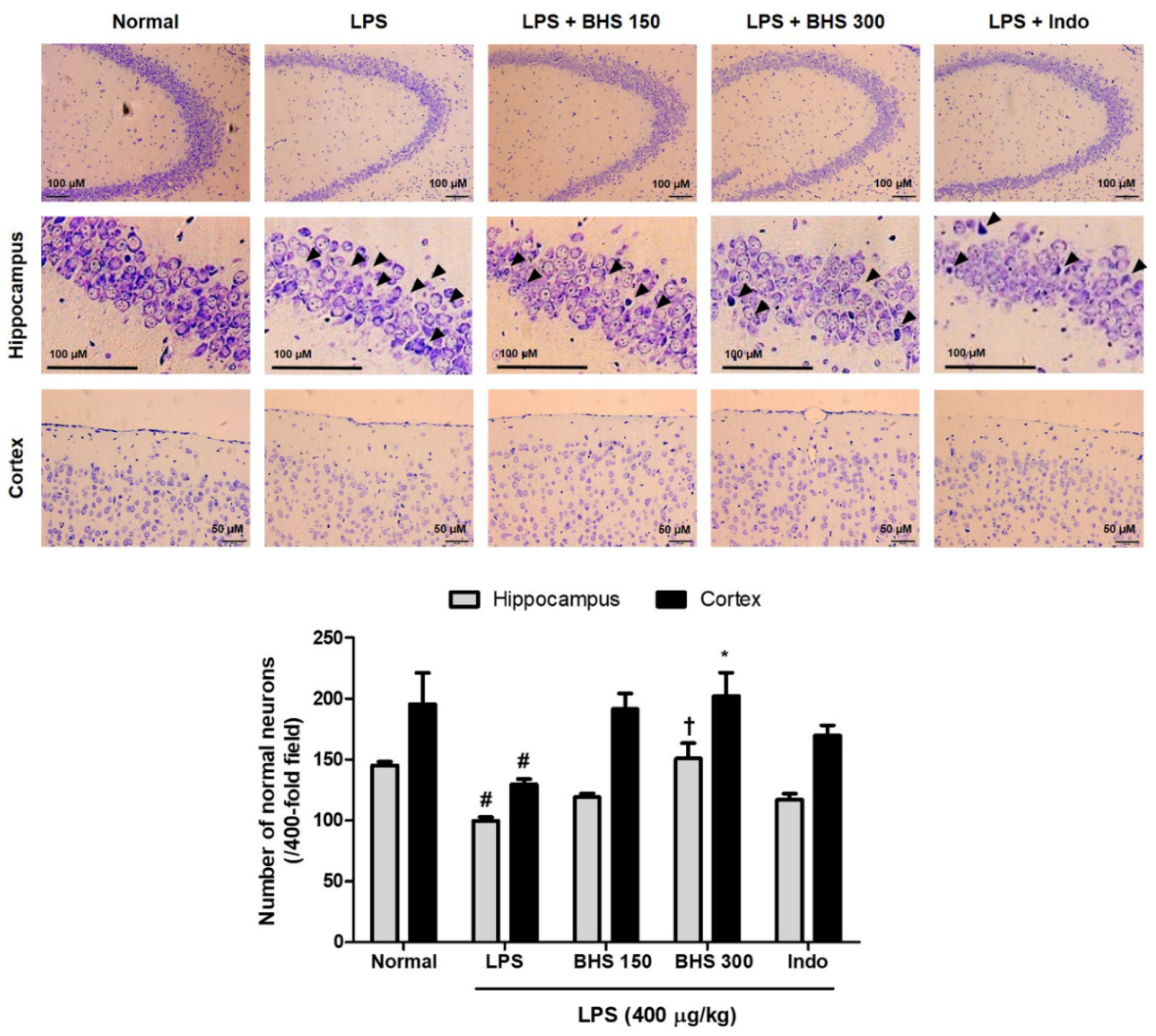 Nutrients 12 02019 g004 Nutrients 12 02019 g004