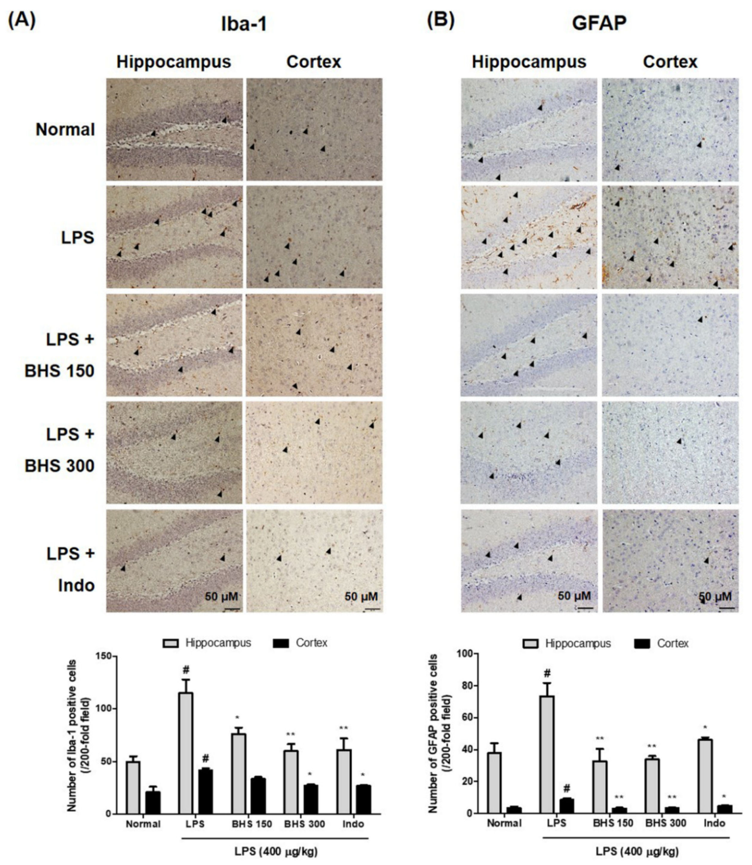 Nutrients 12 02019 g005 Nutrients 12 02019 g005