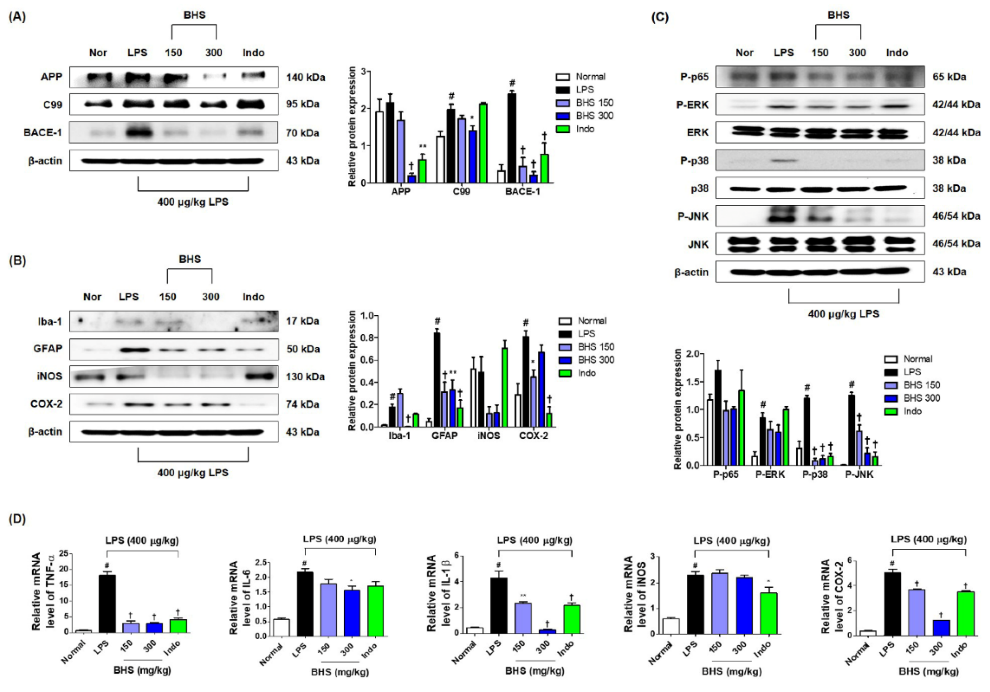 Nutrients 12 02019 g006 Nutrients 12 02019 g006