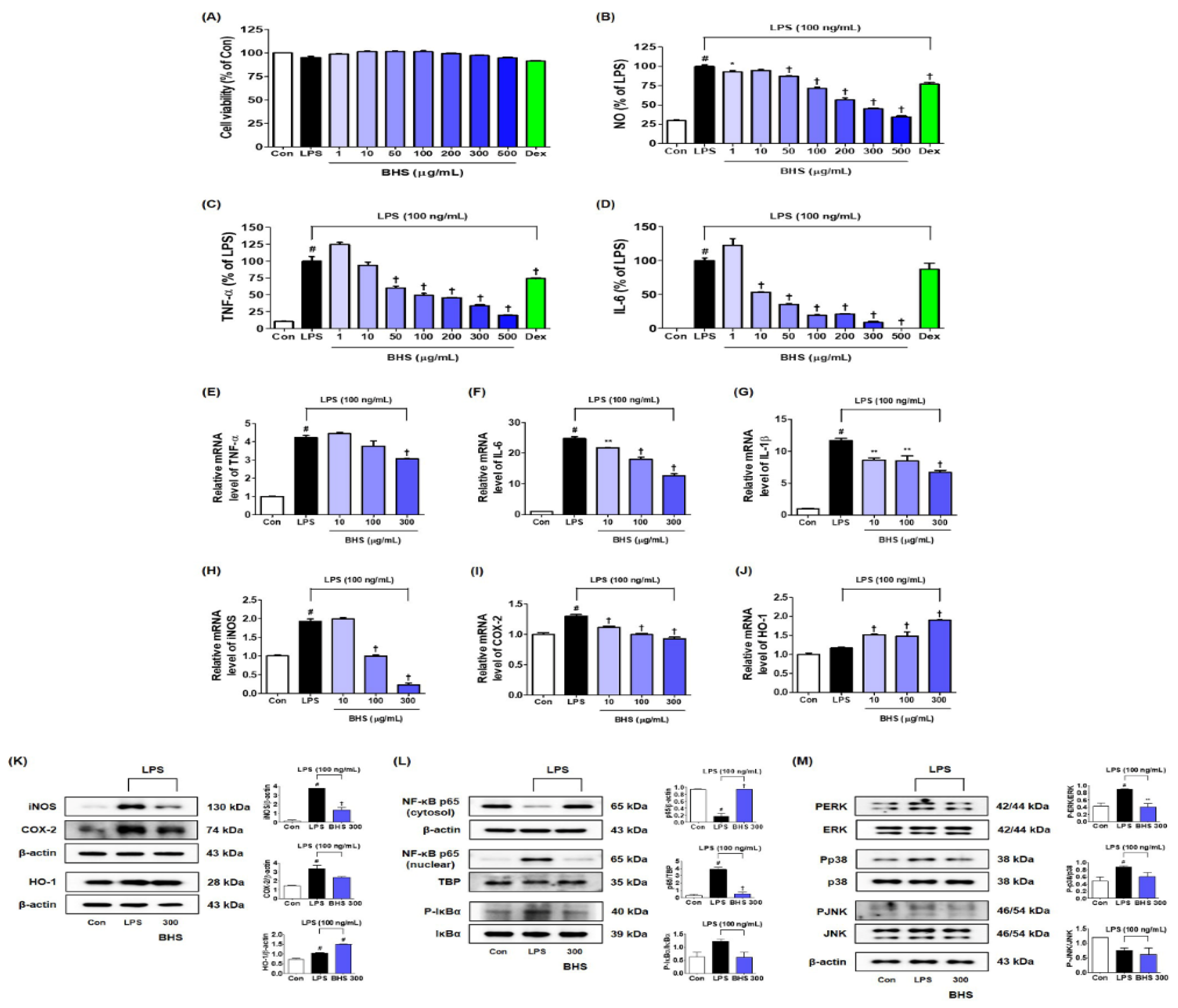 Nutrients 12 02019 g007 Nutrients 12 02019 g007