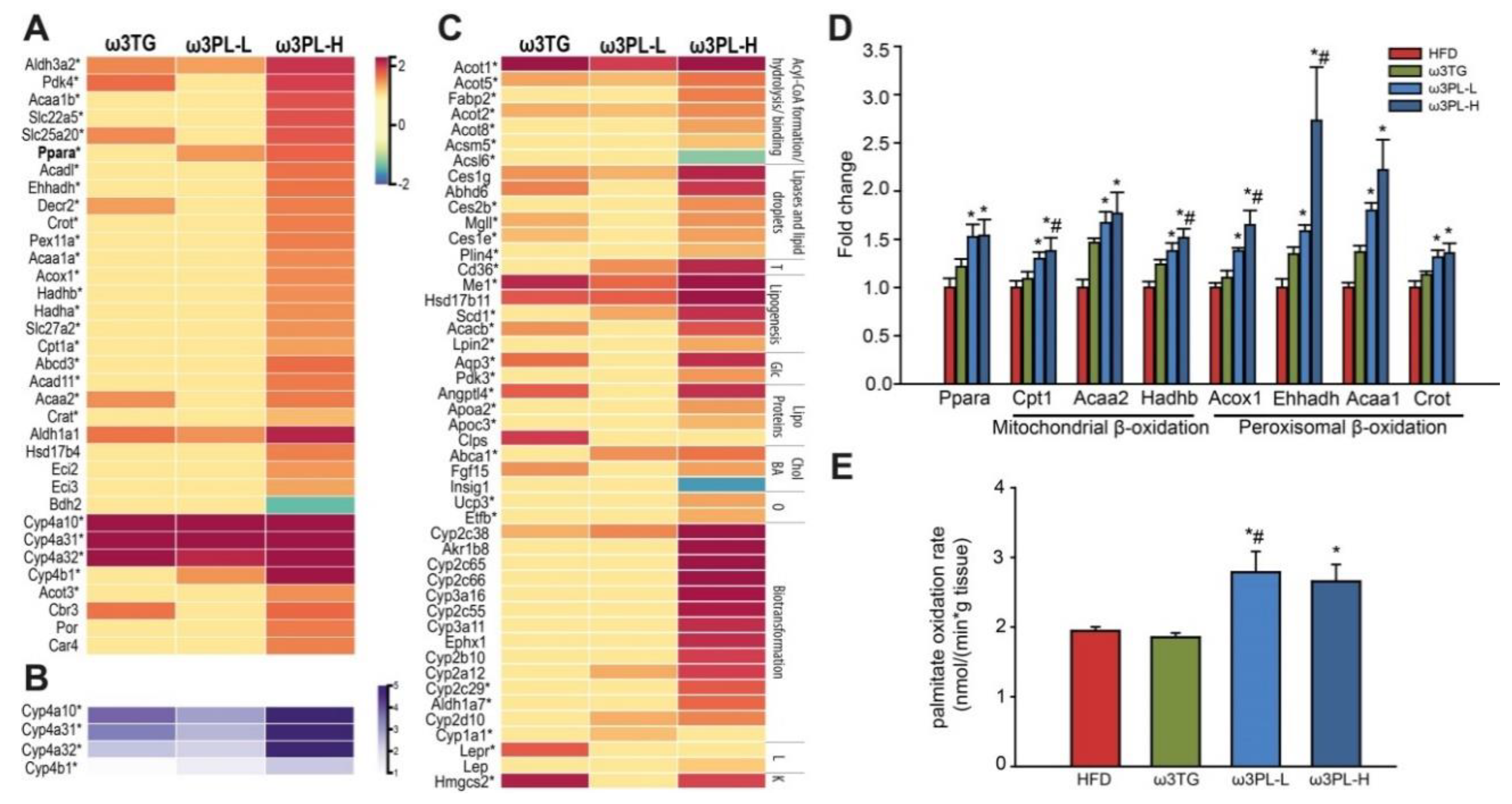 Nutrients 12 02037 g005 Nutrients 12 02037 g005