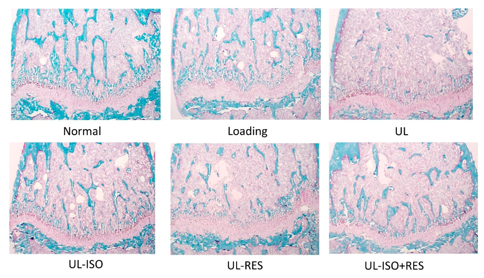 Nutrients 12 02043 g004 Nutrients 12 02043 g004