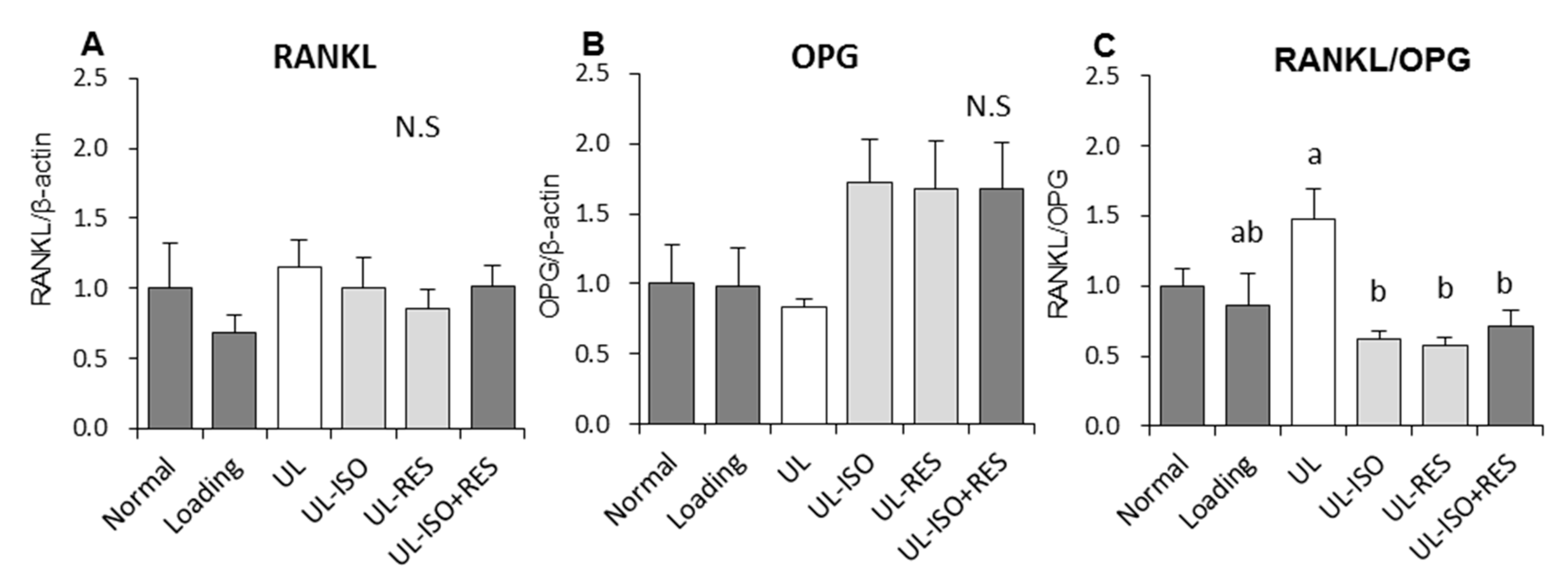 Nutrients 12 02043 g005 Nutrients 12 02043 g005