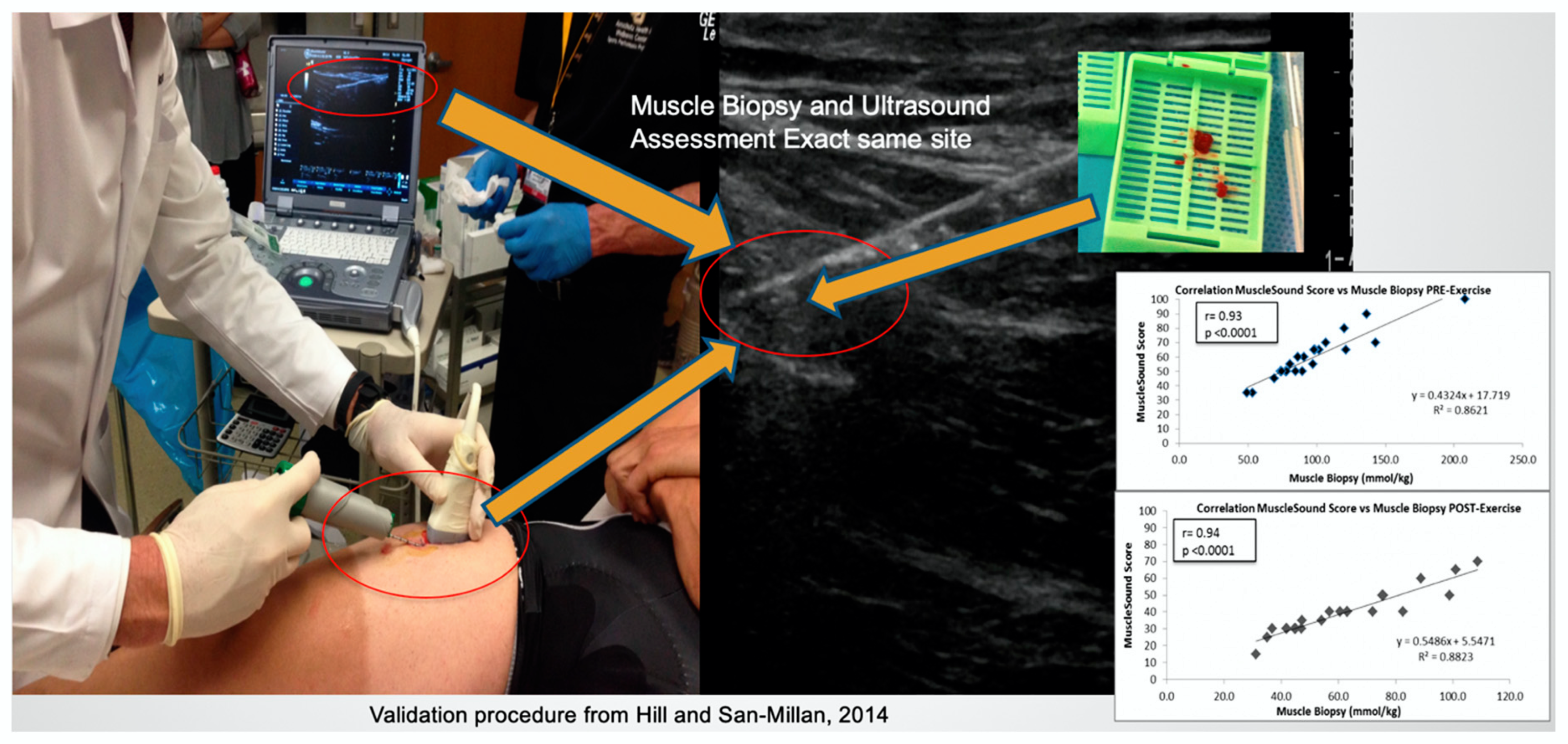 Nutrients 12 02066 g001