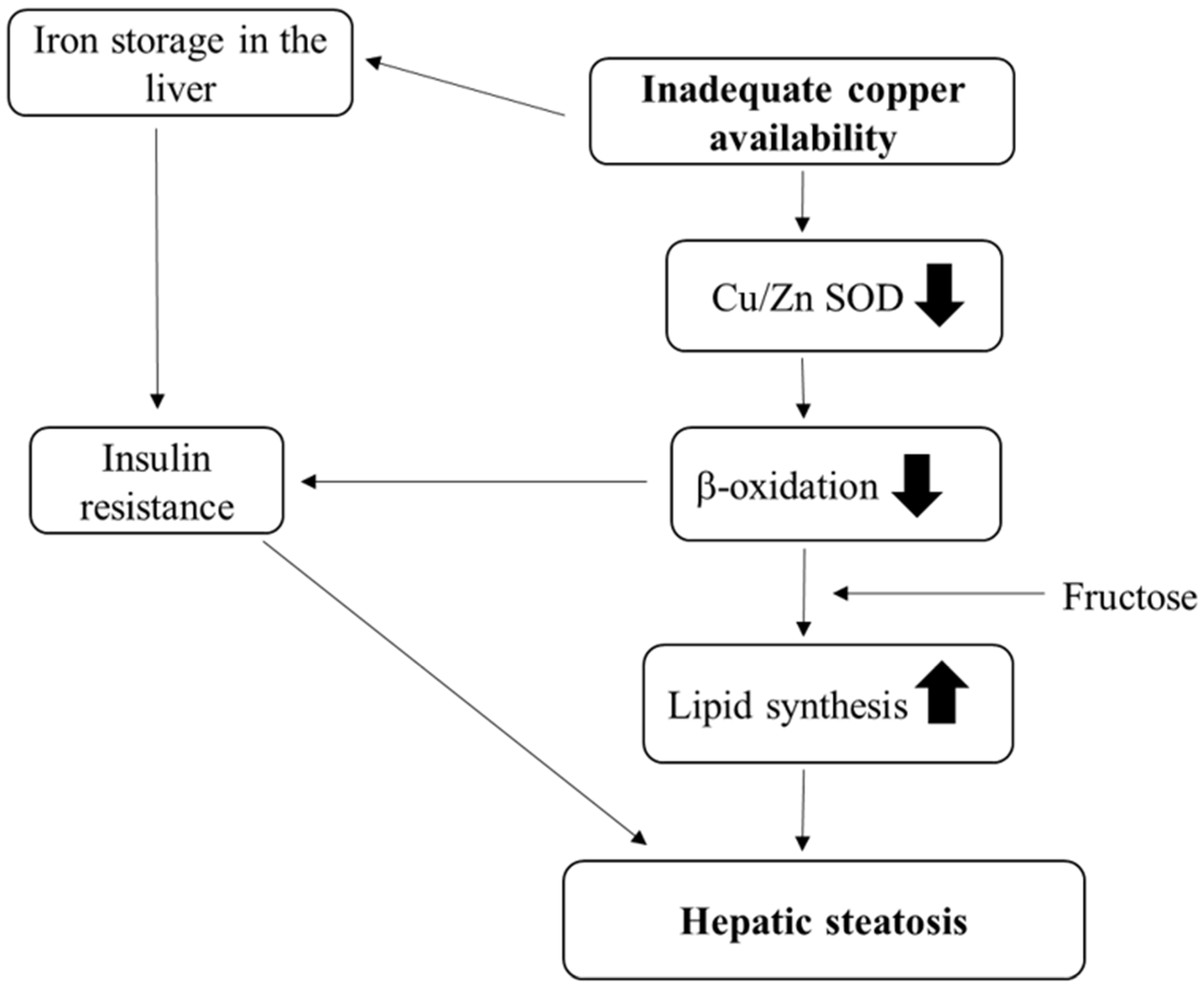 Nutrients 12 02084 g002 Nutrients 12 02084 g002