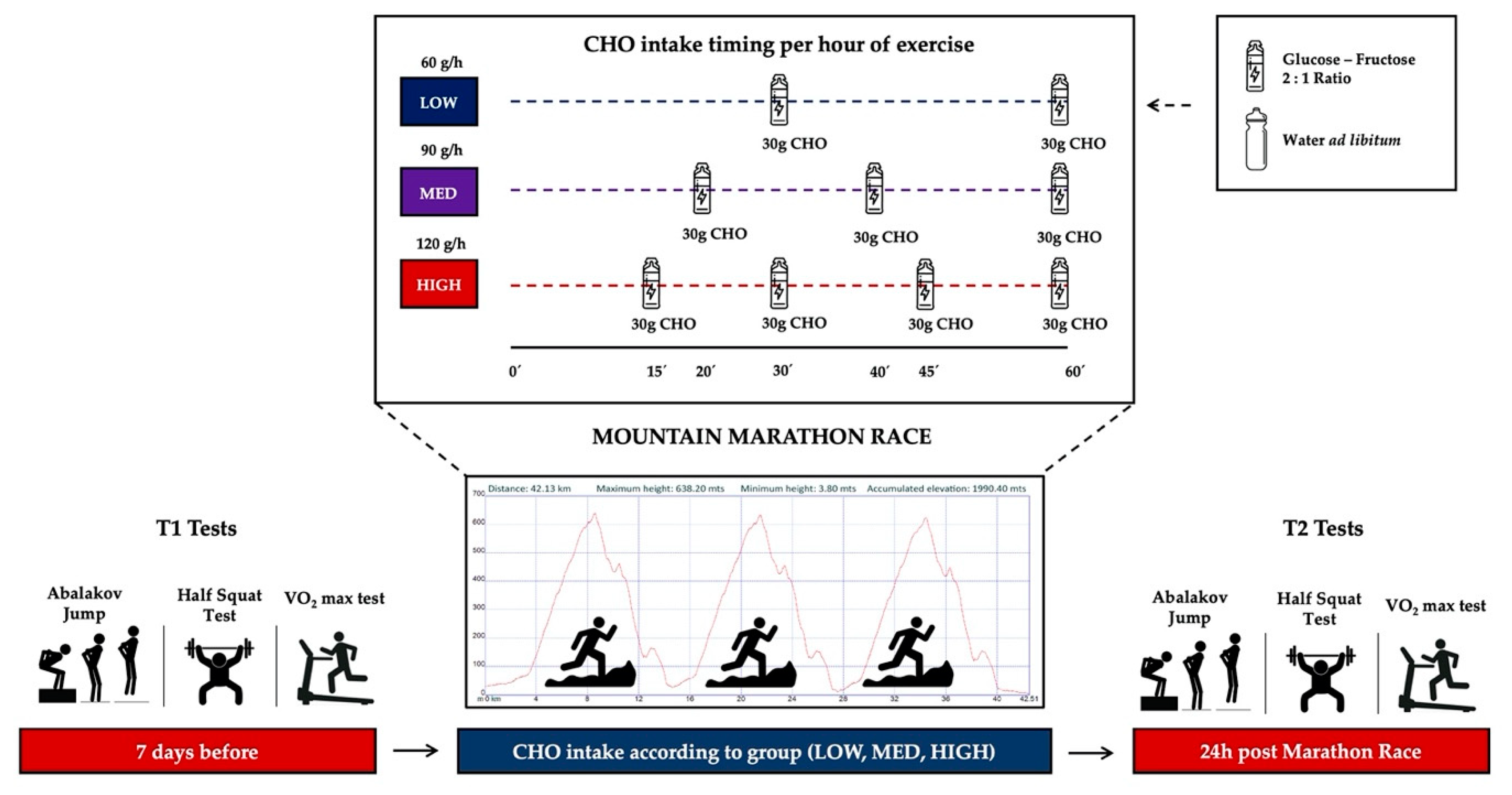 Nutrients 12 02094 g001 Nutrients 12 02094 g001