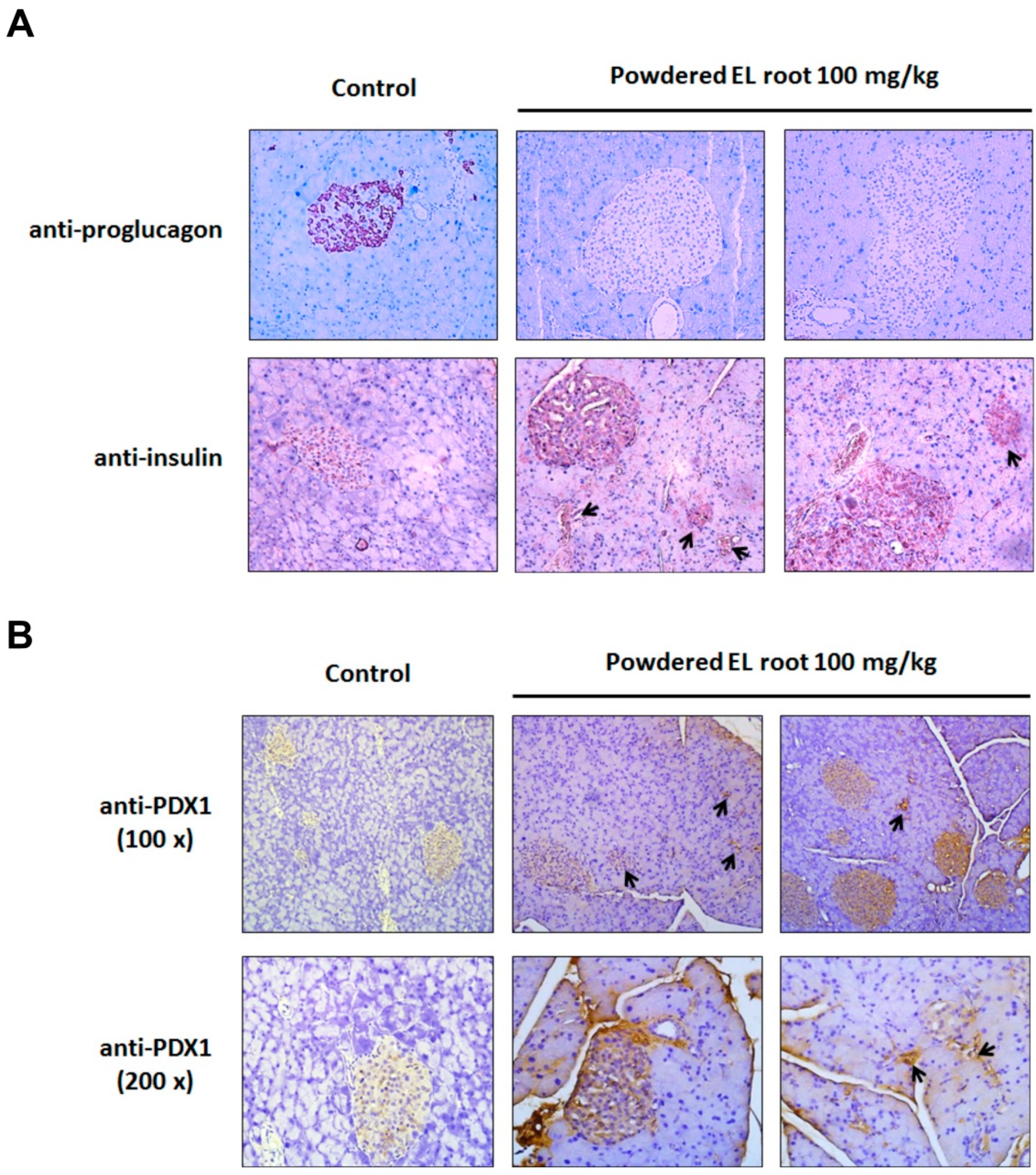 Nutrients 12 02111 g006