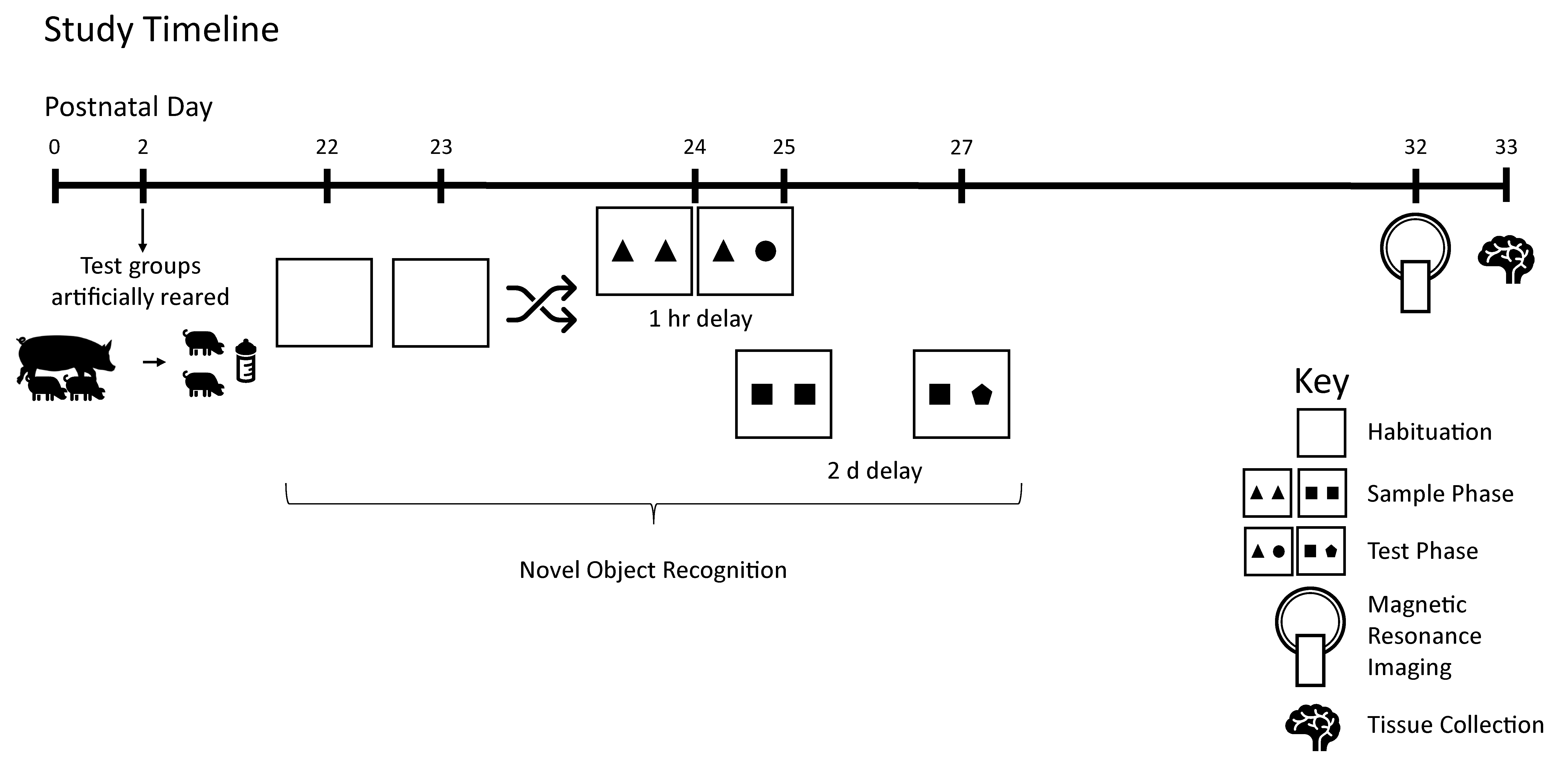 Nutrients 12 02131 g001