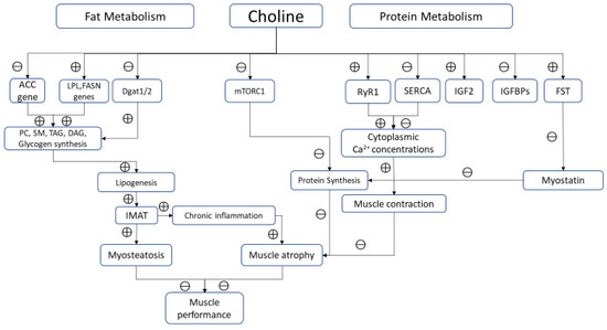 Nutrients 12 02144 g002 550