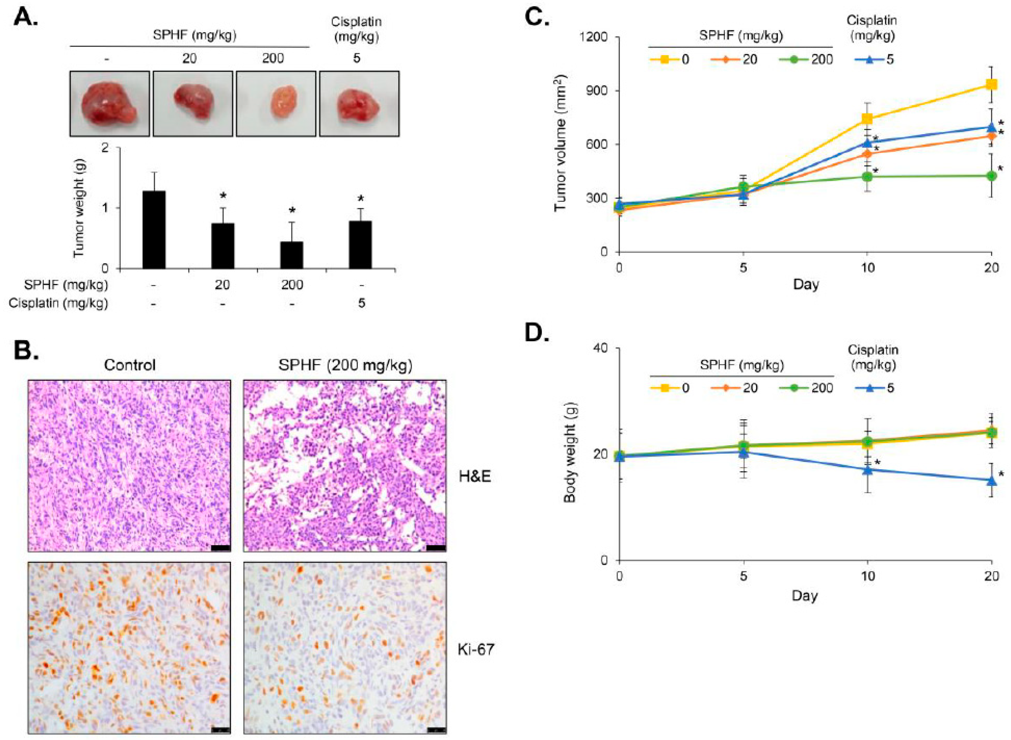 Nutrients 12 02159 g005
