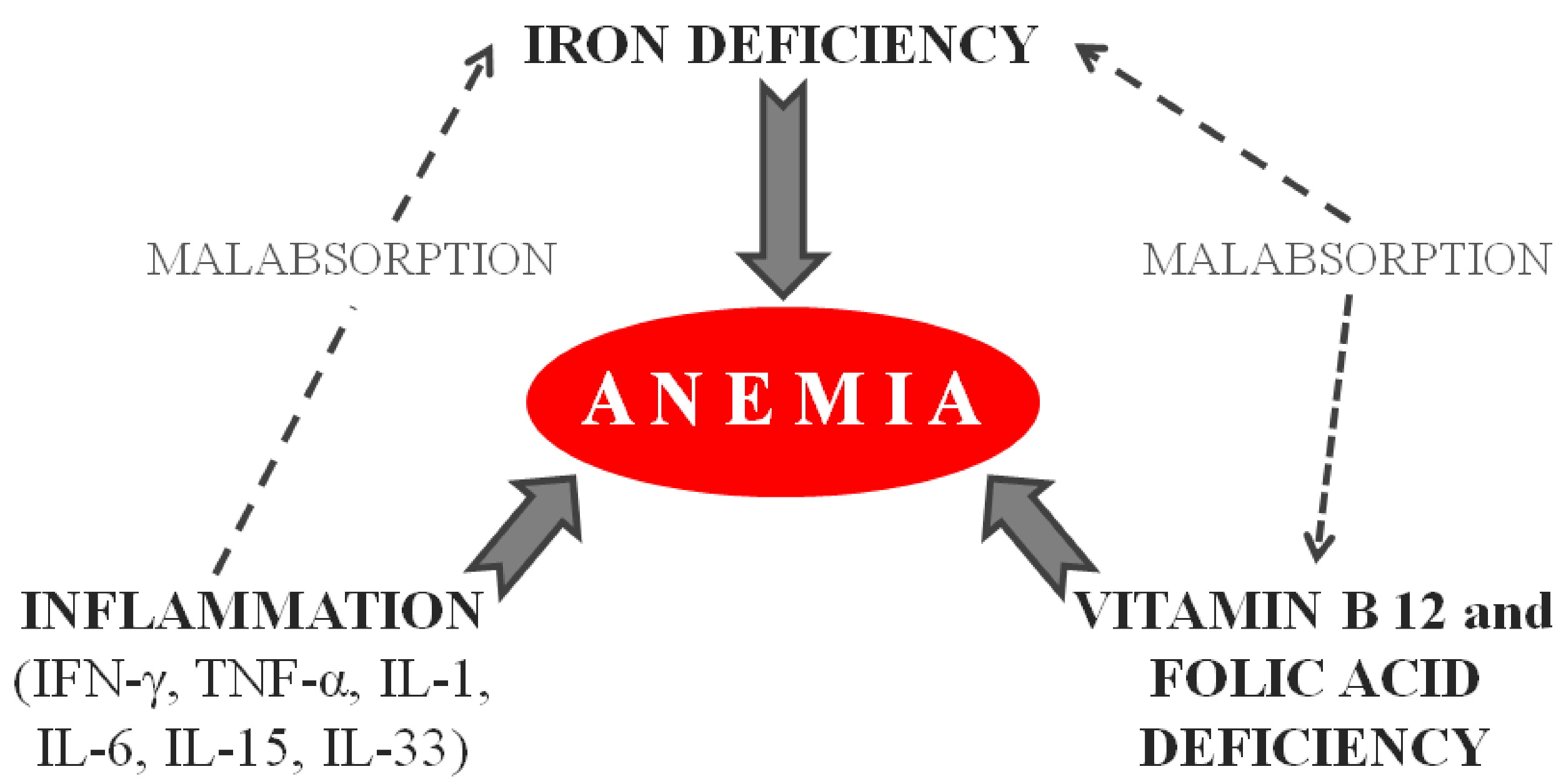 Nutrients | Free Full-Text | Persistent Iron Deficiency Anemia in Patients with Celiac Disease Despite a Gluten-Free Diet Nutrients | Free Full-Text | Persistent Iron Deficiency Anemia in Patients with Celiac Disease Despite a Gluten-Free Diet