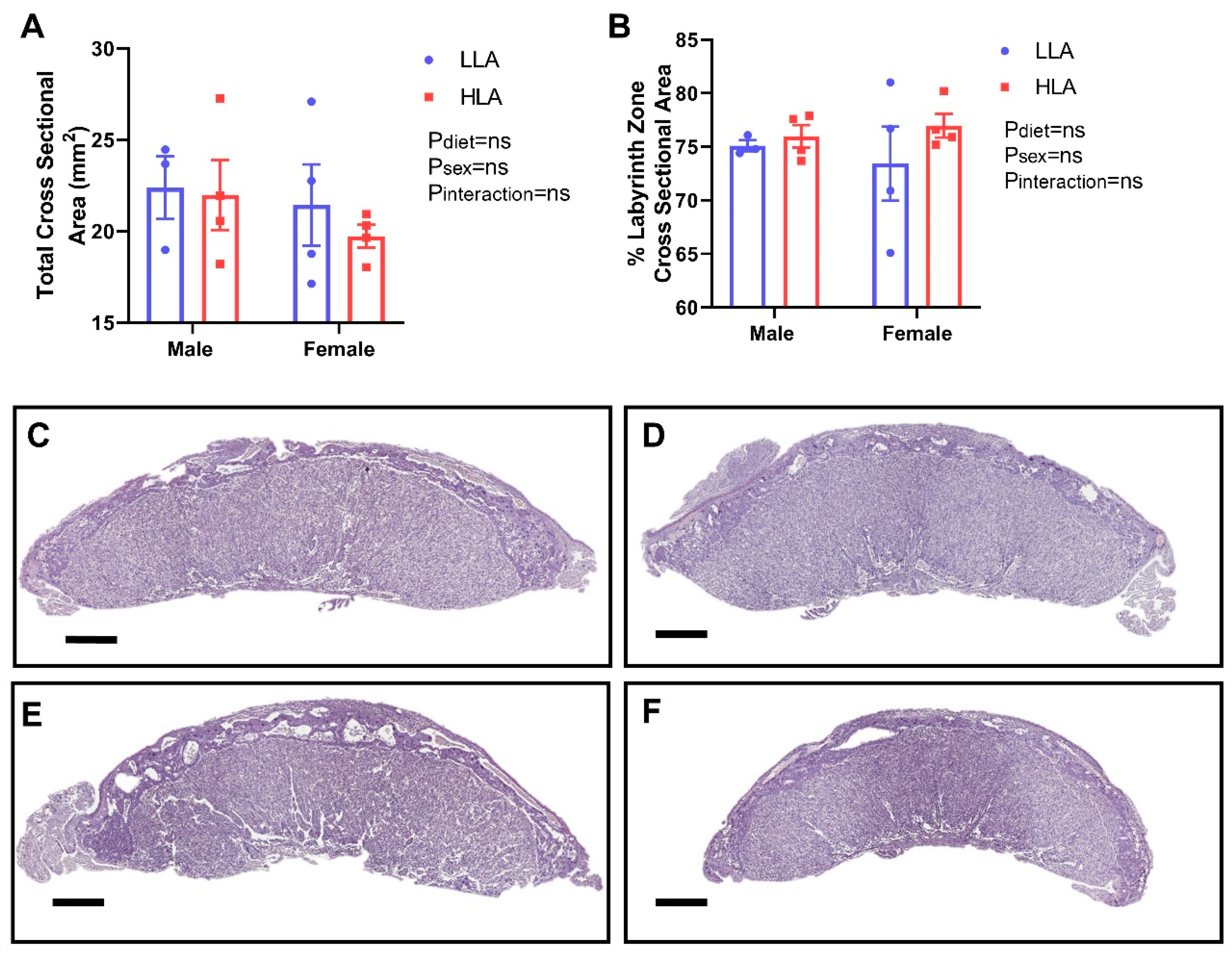 Nutrients 12 02183 g002 Nutrients 12 02183 g002