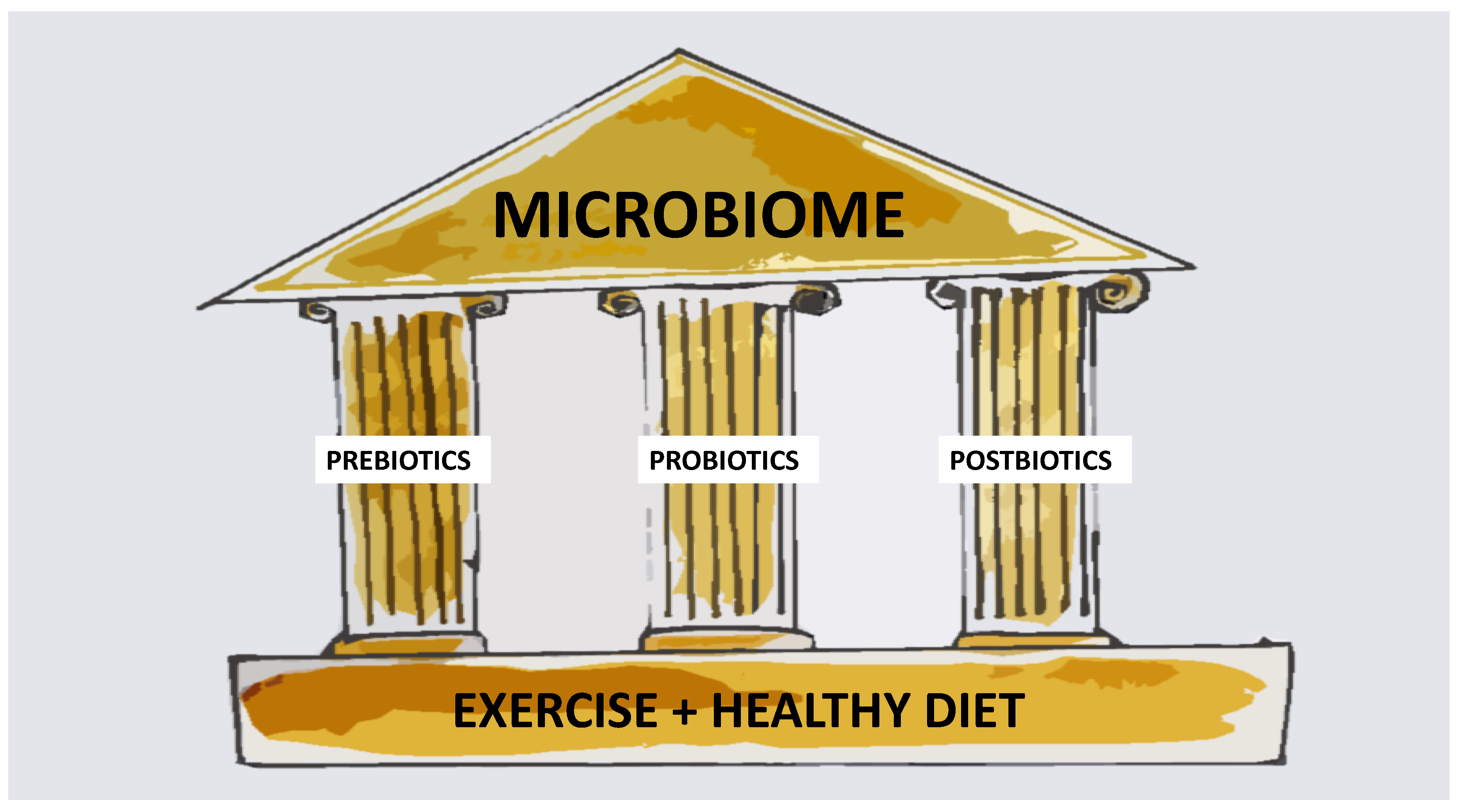 | Free Full-Text | Postbiotics—A Step Beyond Pre- and