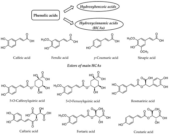 Nutrients 12 02190 g001 550